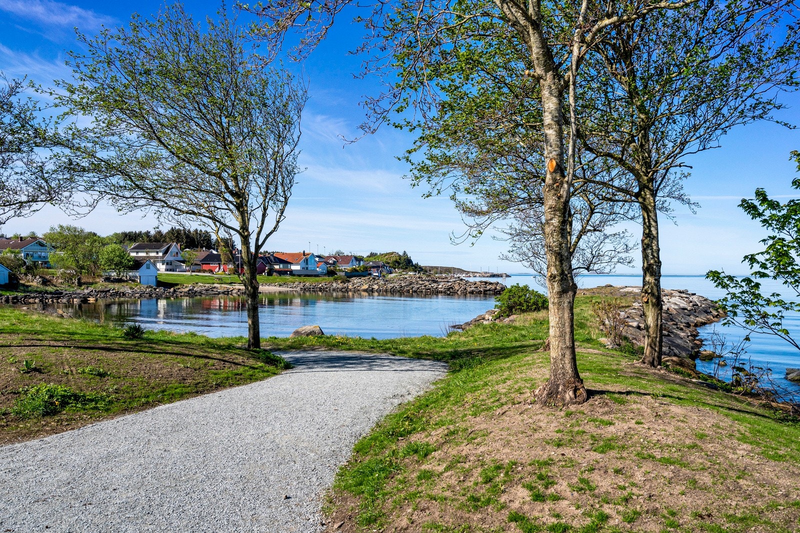 Nærområde. Galleribilde