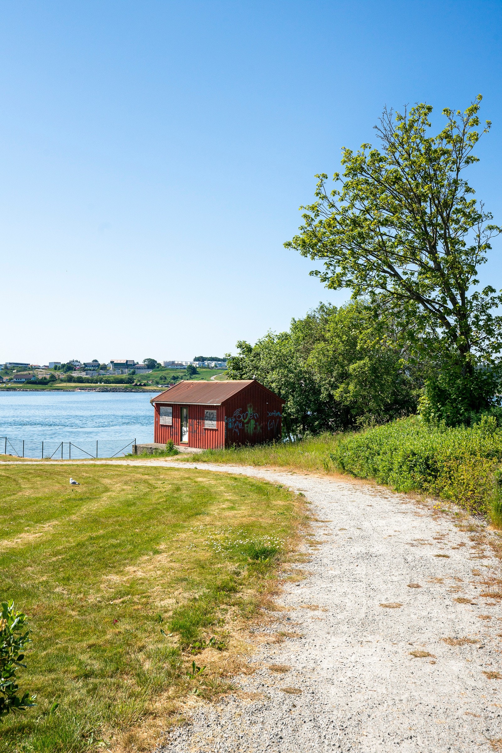Nærområde. Galleribilde