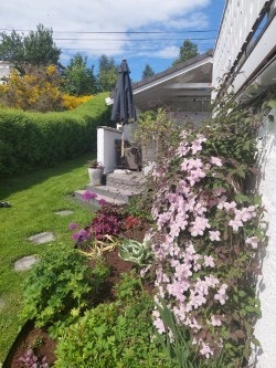 Sommerbilde Galleribilde