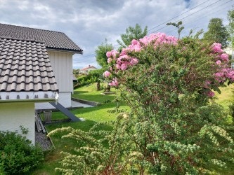 Sommerbilde Galleribilde