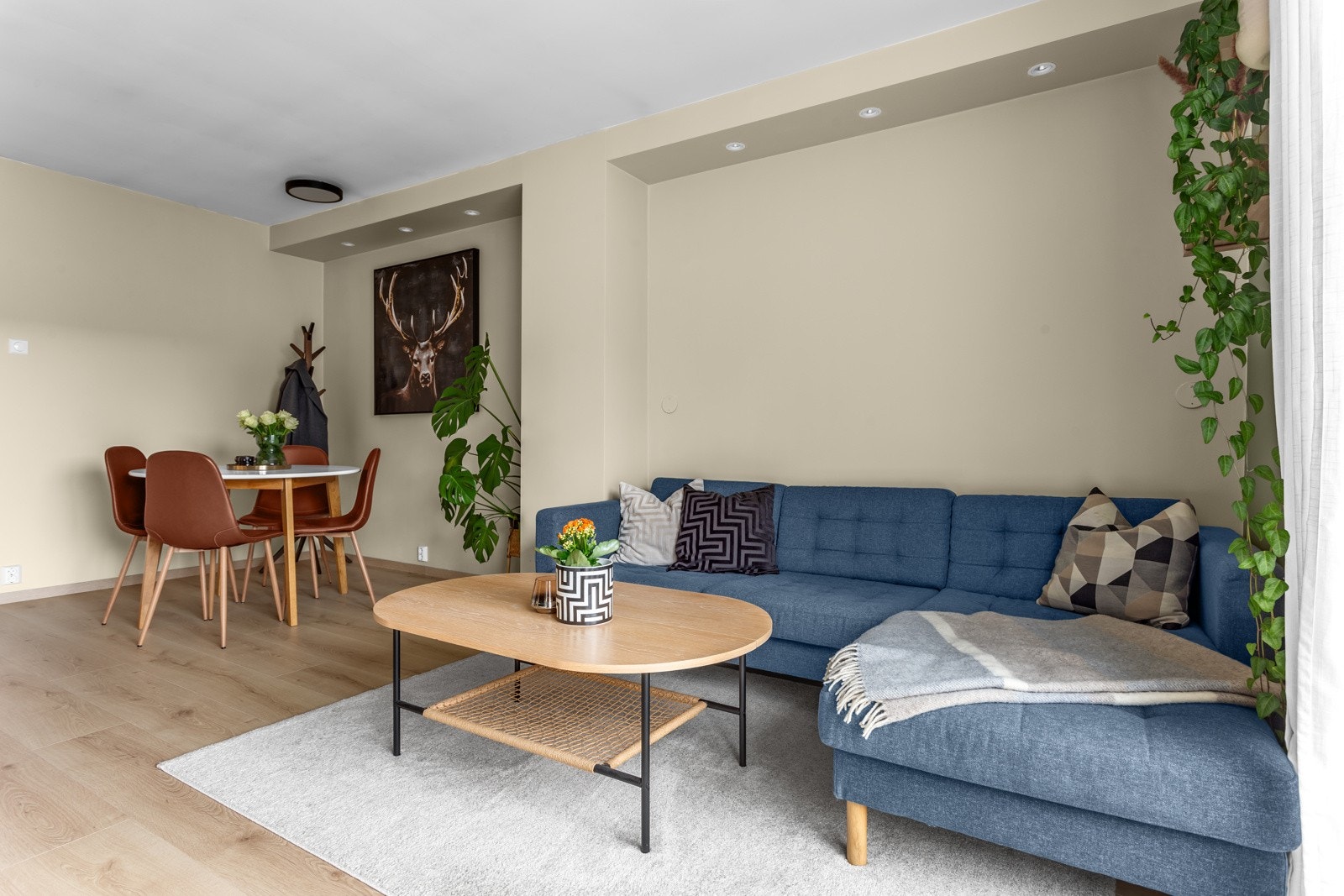 God soneinndeling. Galleribilde