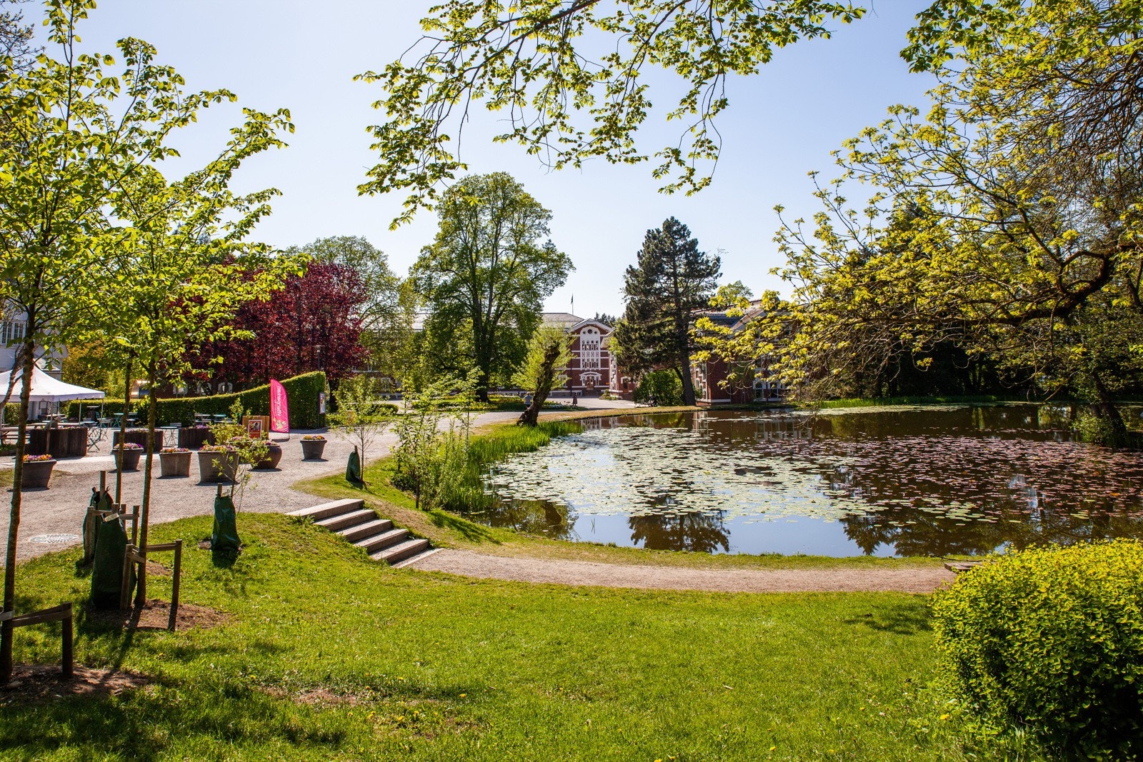 Hyggelig parkområde ved NMBU Galleribilde
