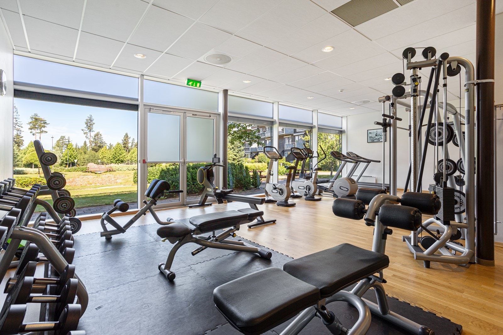 Velutstyrt treningsrom med store vinduer. Galleribilde