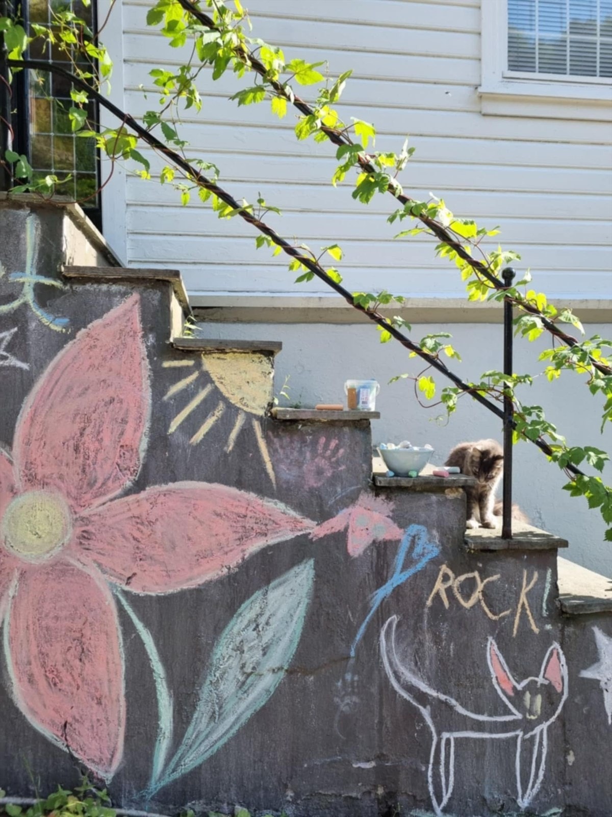 Private stemningsbilder. Galleribilde