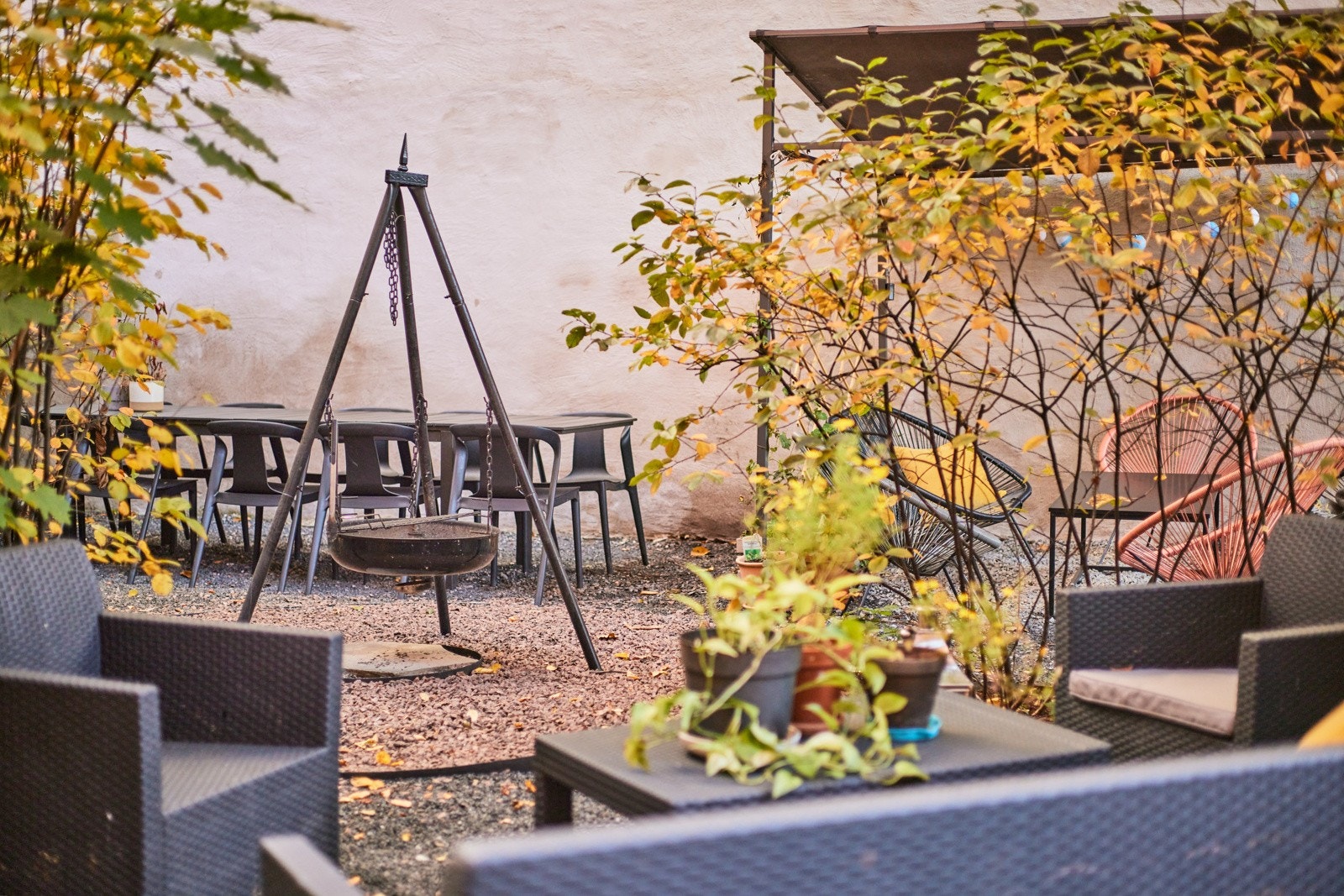 Koselig og frodig bakgård med sittegrupper og grillplass. Galleribilde