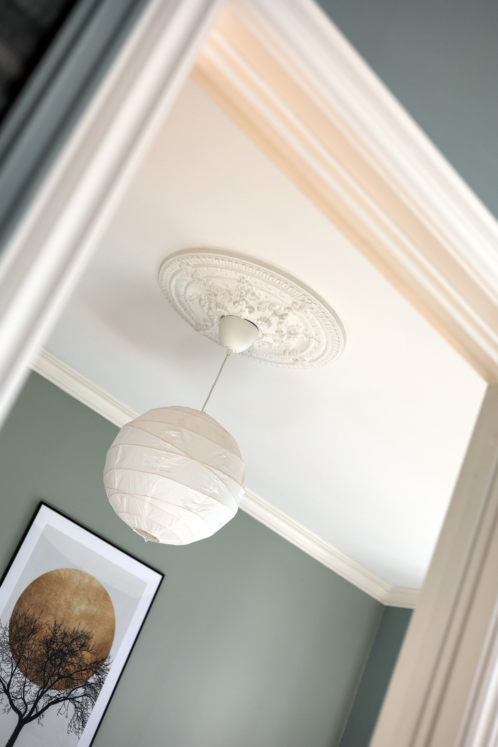 Rommet har parkettgulv og rosett i himlingen Galleribilde