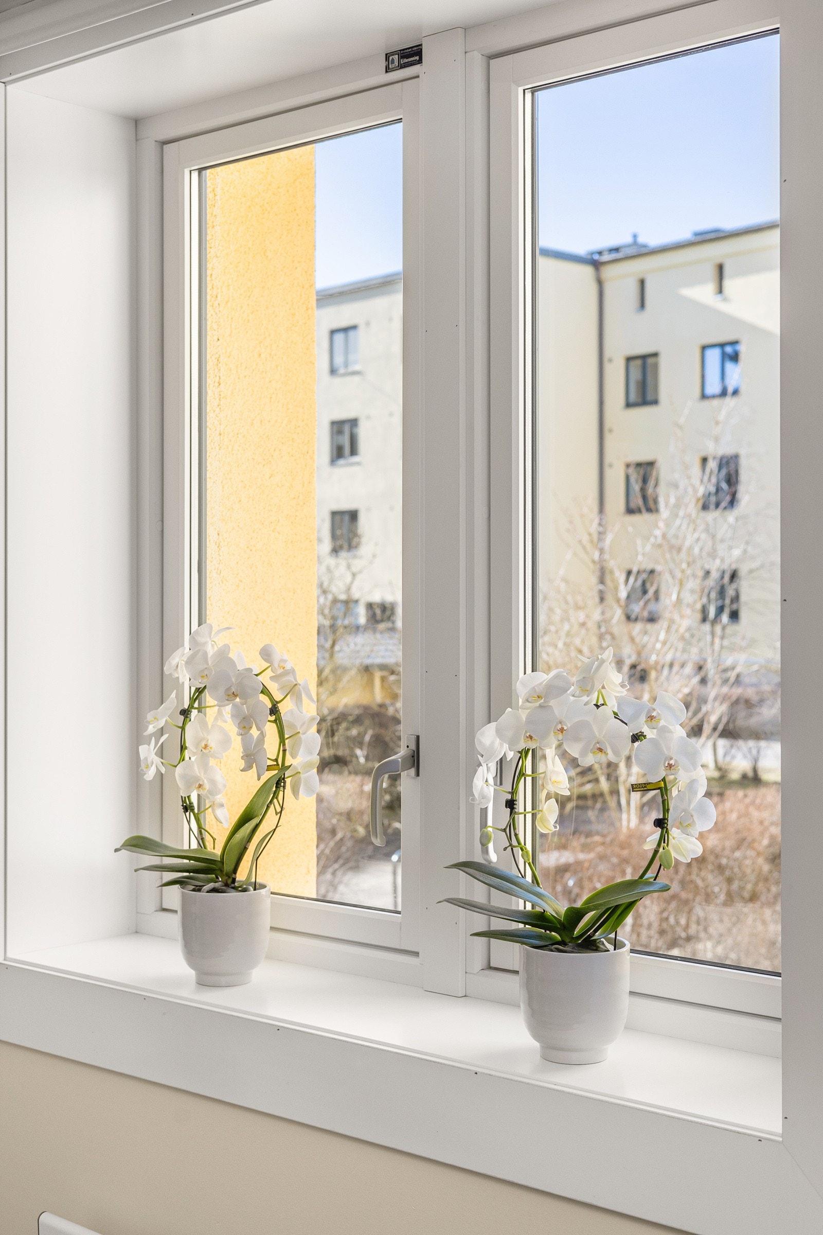 Stor vindusflate som vender ut mot rolig og flott bakgård. Galleribilde