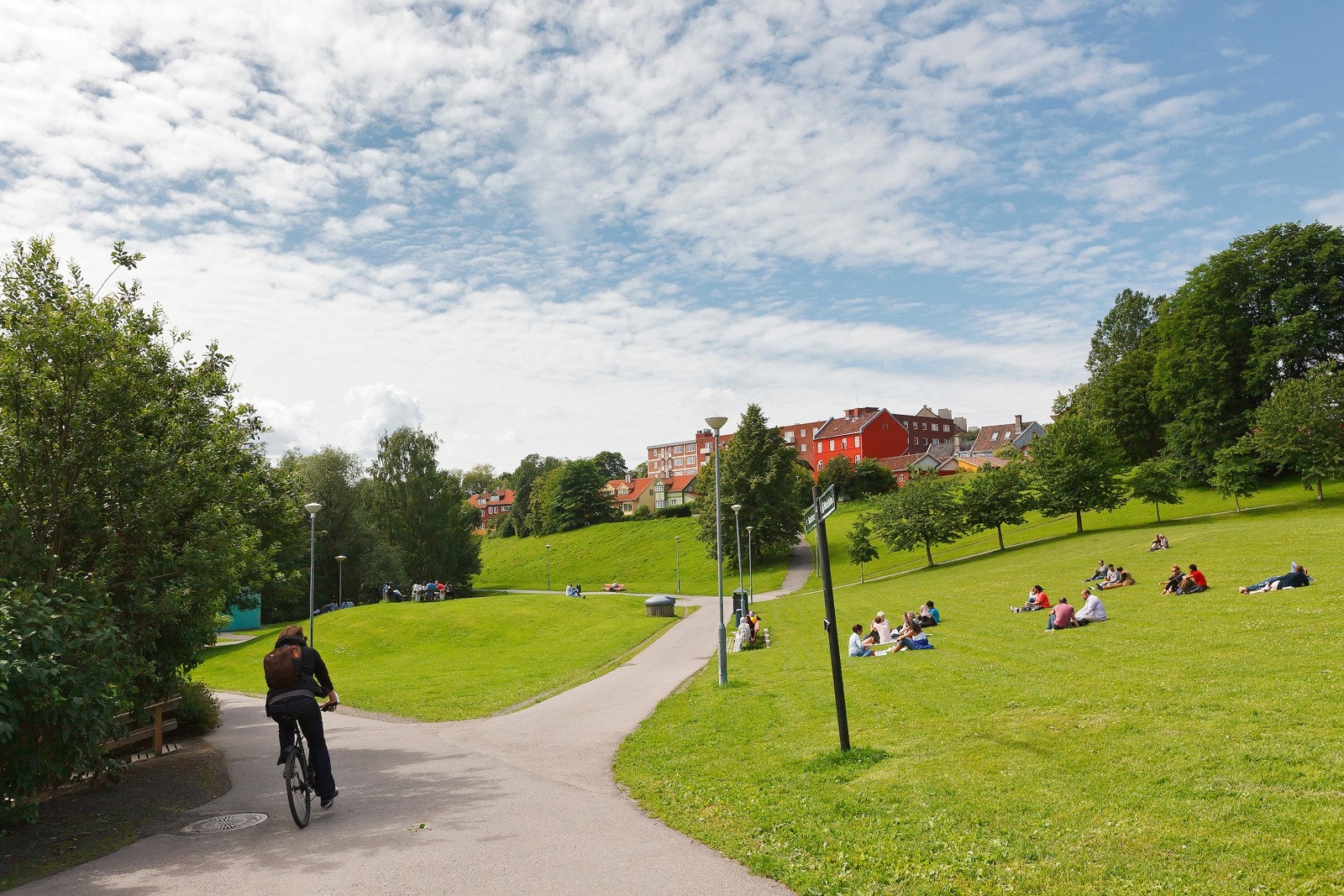 Områdebilde: Myraløkka Galleribilde