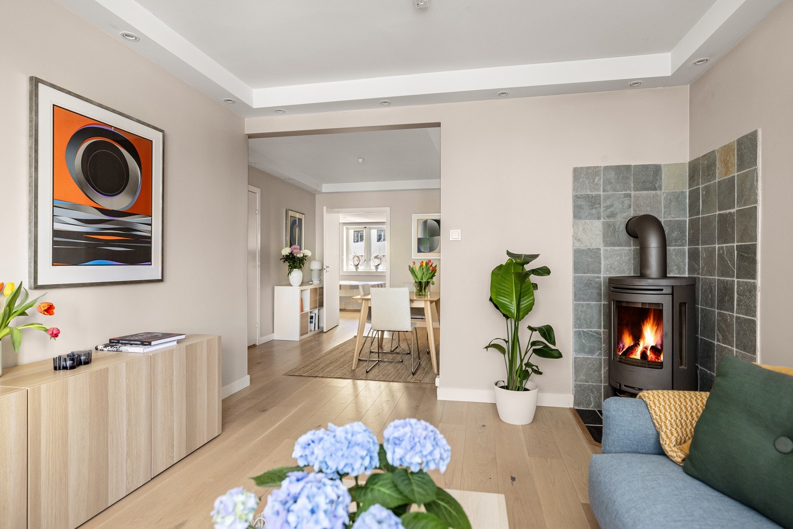 Fiber fra Homenet (1000/1000 mbps) er inkludert i felleskostnadene. Galleribilde