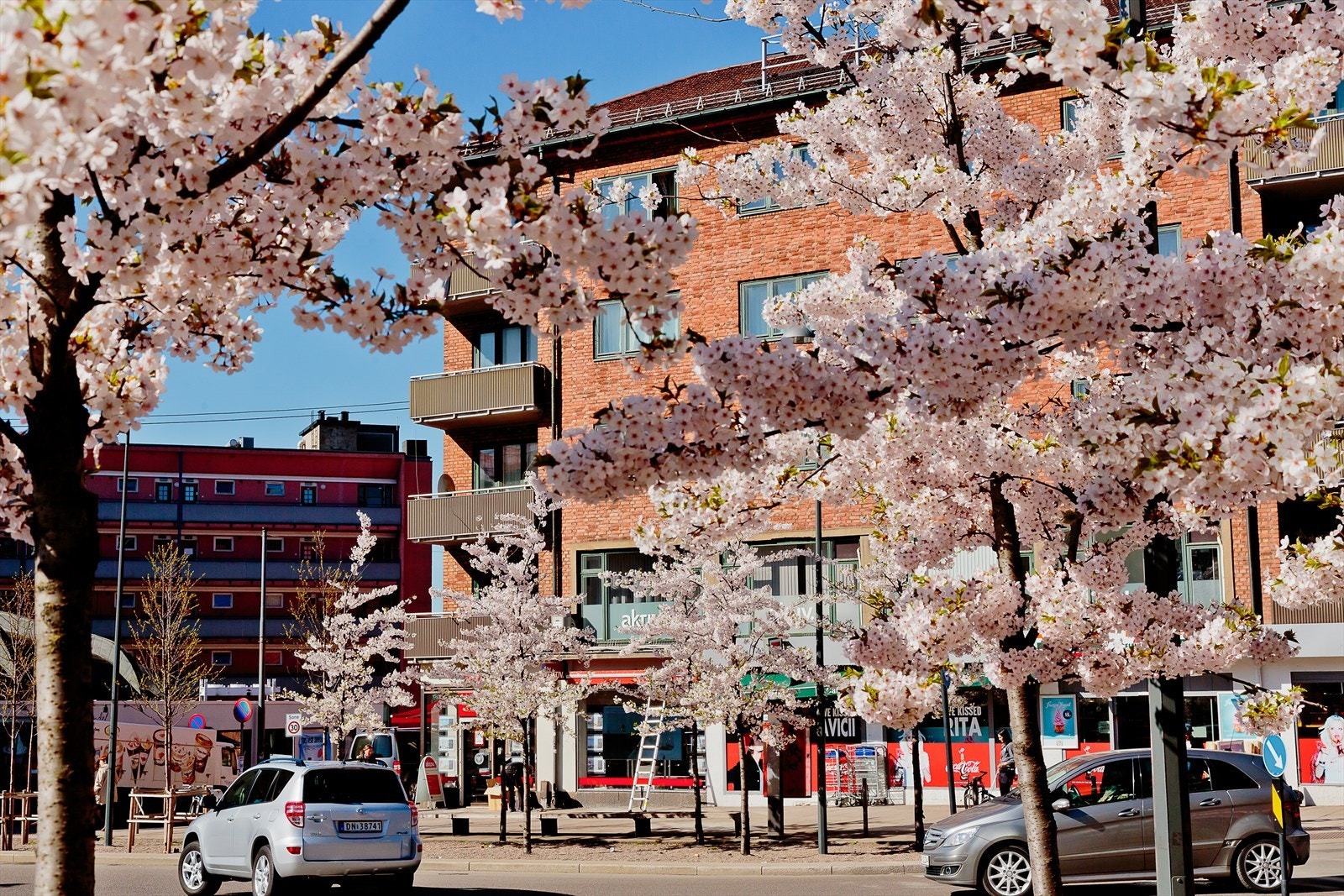 En av de største fordelene med å bo sentralt er et godt kollektivtilbud. Det er kort vei til Tøyen T-banestasjon med alle linjer, og bare 5 minutters gange til kollektivknutepunktet Carl Berner. Galleribilde