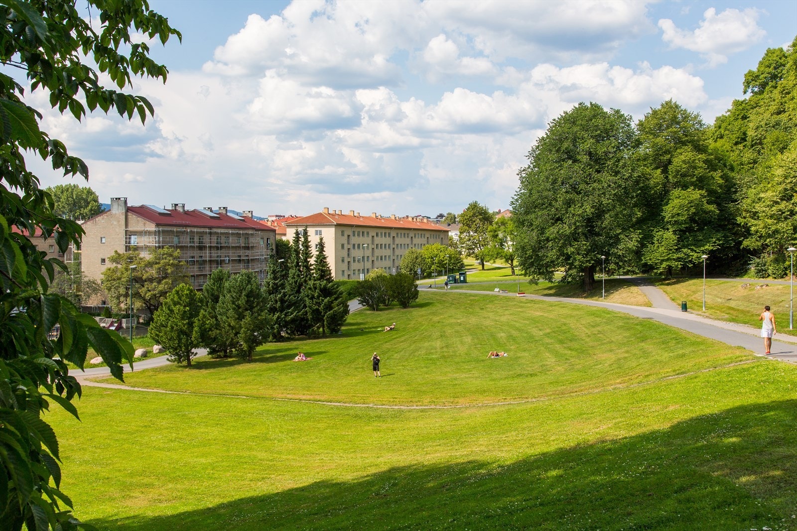 Det er mange flotte grøntområder i umiddelbar nærhet. Tøyenparken er det perfekte sted på sommeren for grilling og sol og et yndet sted for barn og voksne. Fra toppen av parken er det utsikt over byen og bakker som brukes til ski og aking vinterstid. Galleribilde
