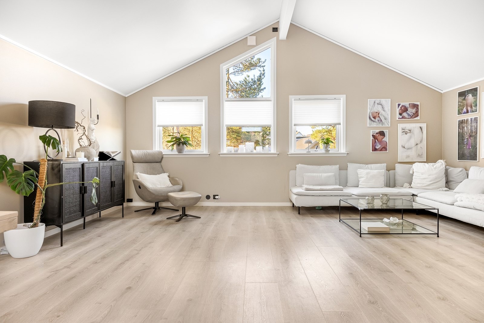 Vi starter i boligens samlingspunkt, nemlig stuen. Galleribilde