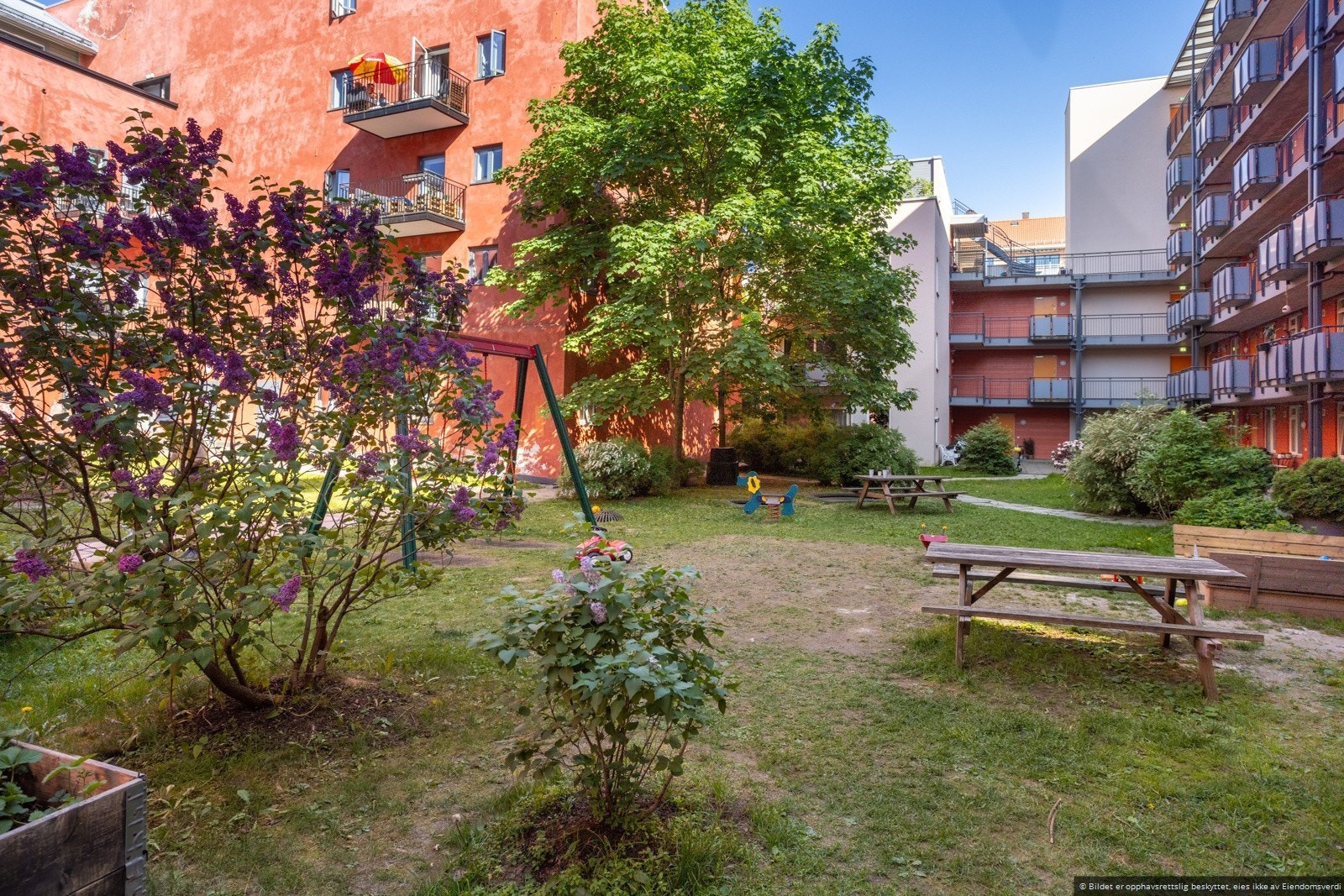 Hage med sittebenker Galleribilde