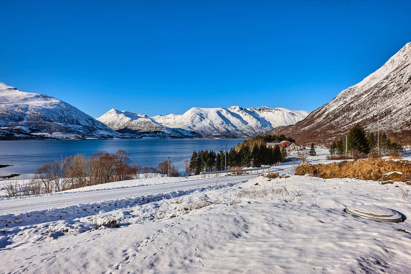 Herfra får du nærhet til skog, fjell og sjø. Galleribilde