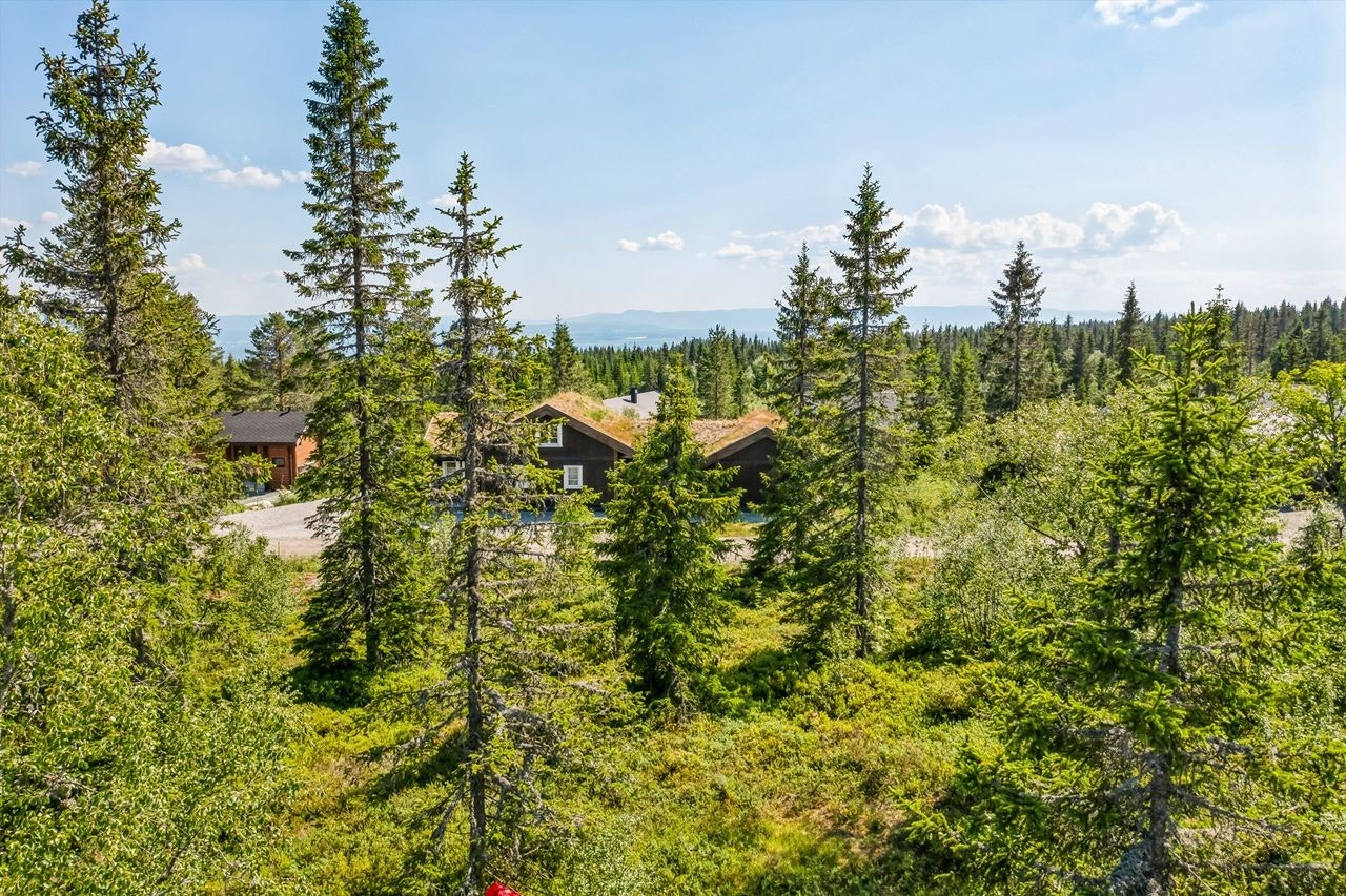 Naturtomt med fin utsikt. Galleribilde