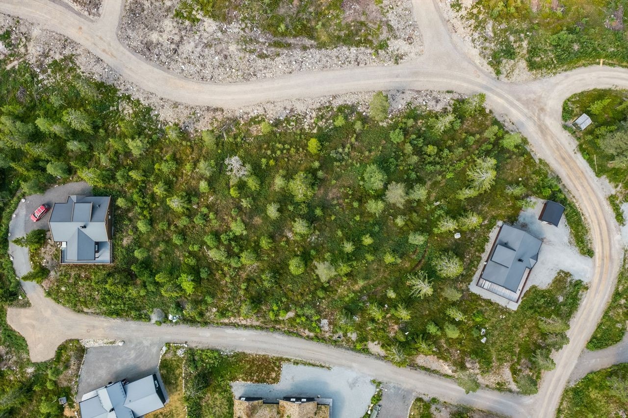 Naturtomt i et relativt flatt terreng med noe skrånede terreng mot syd. Galleribilde