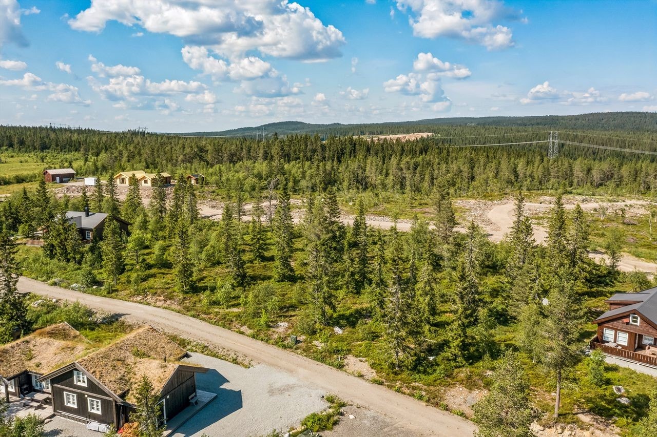 Tomten ligger på Gåsbu hyttegrend ca 15 km fra Hamar. Galleribilde