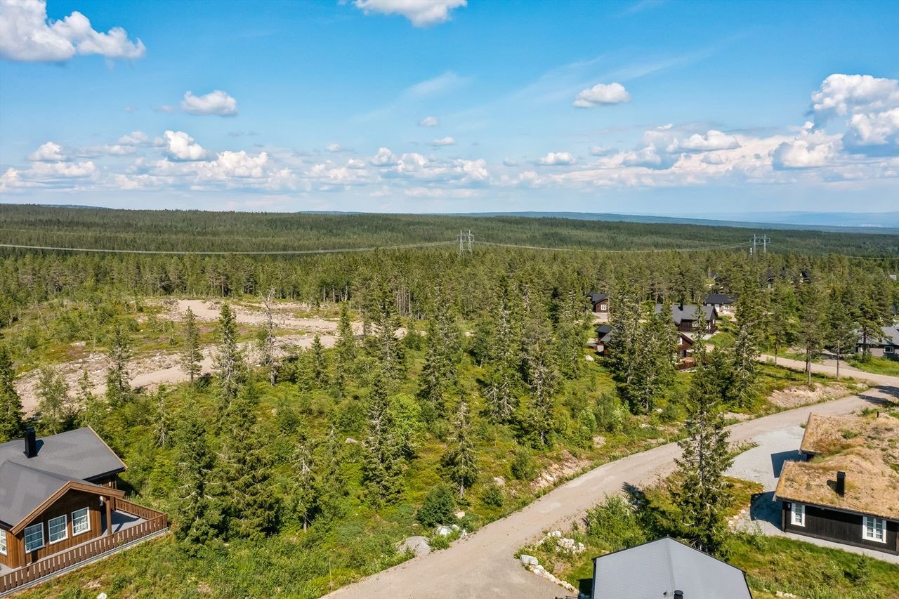 Hyttetomten er på ca 1050 kvm uten byggeplikt. Galleribilde