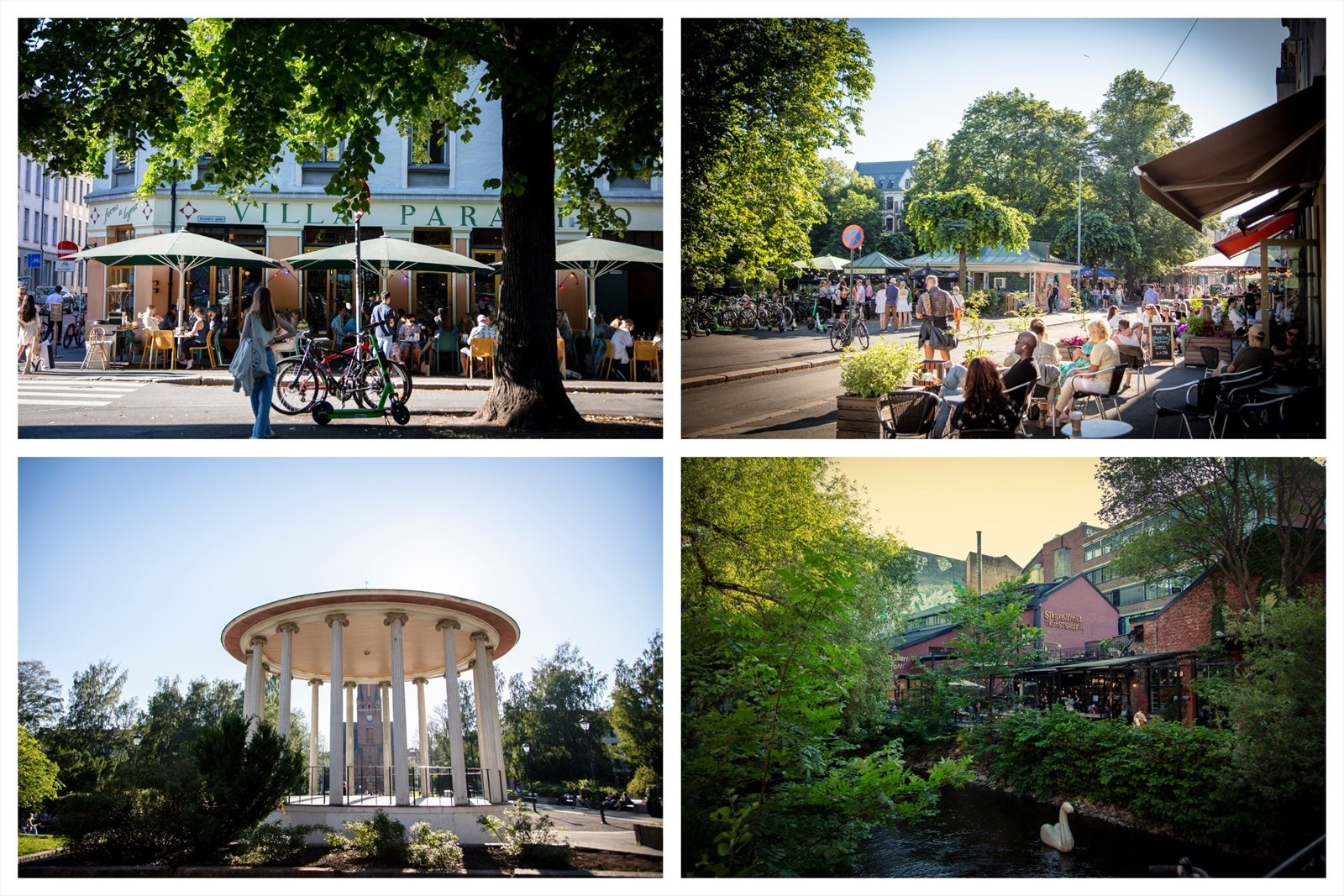 Sentrum og Løkka like utenfor døren Galleribilde