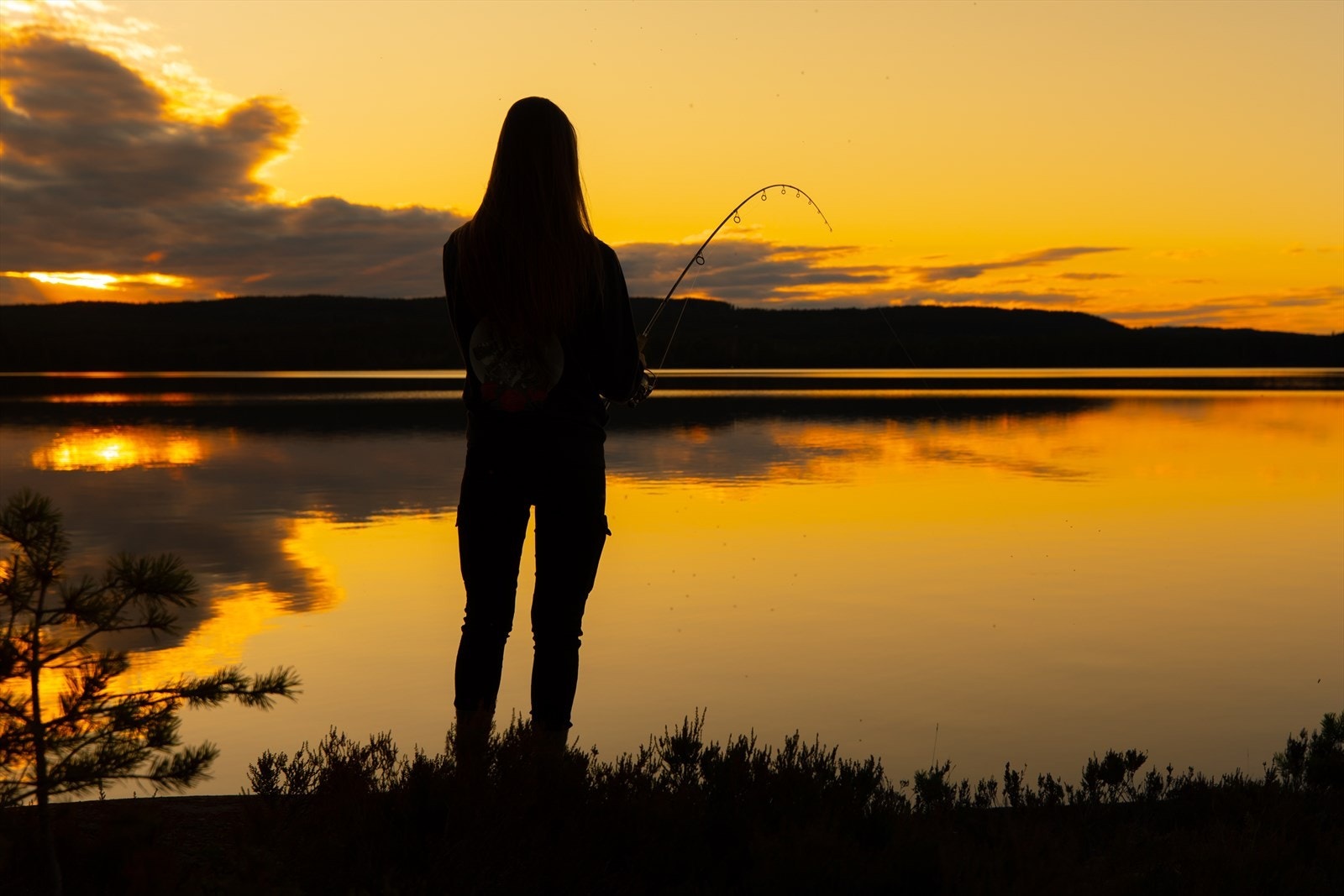 Fra Røykås kan du ta deg ut i lysløypenett mot Mariholtet og fra Sørlihavna går det lysløype mot Losby. Galleribilde