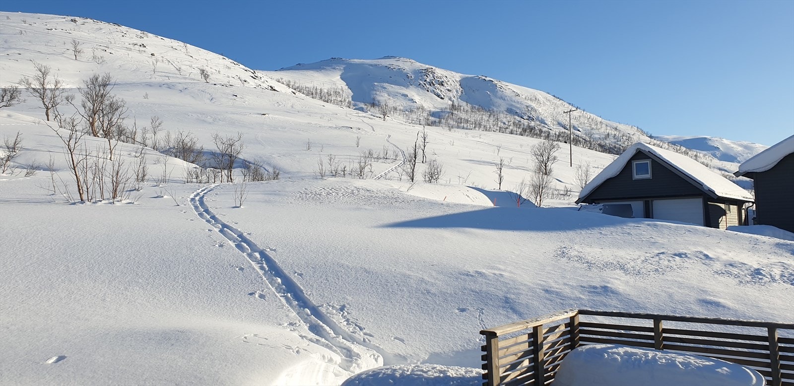 Tomten grenser til friareal og en kan ta skiene på seg rett utenfor terrassen sin, eller ta en fjelltur sommertid. Galleribilde