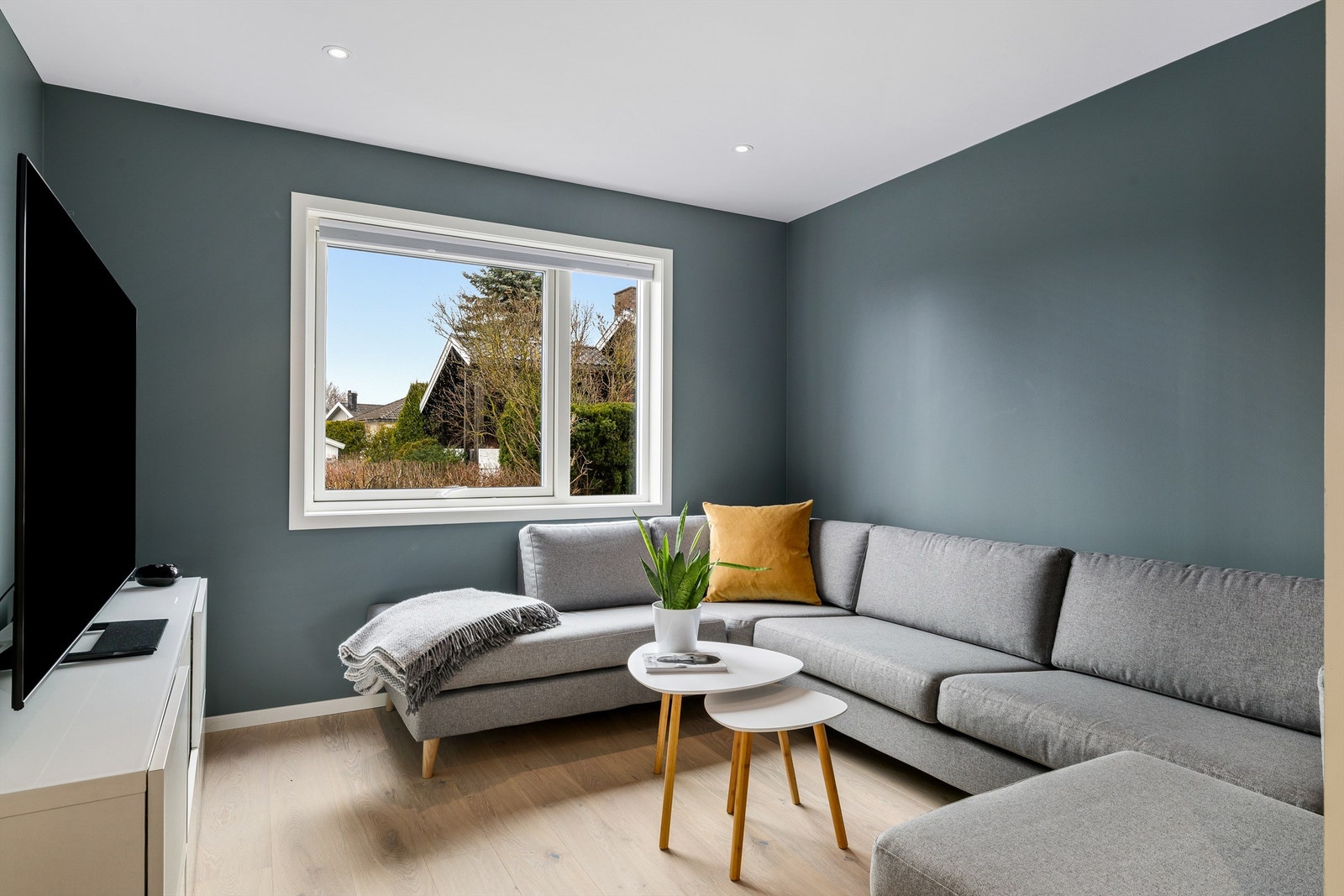 Tv-stue Galleribilde