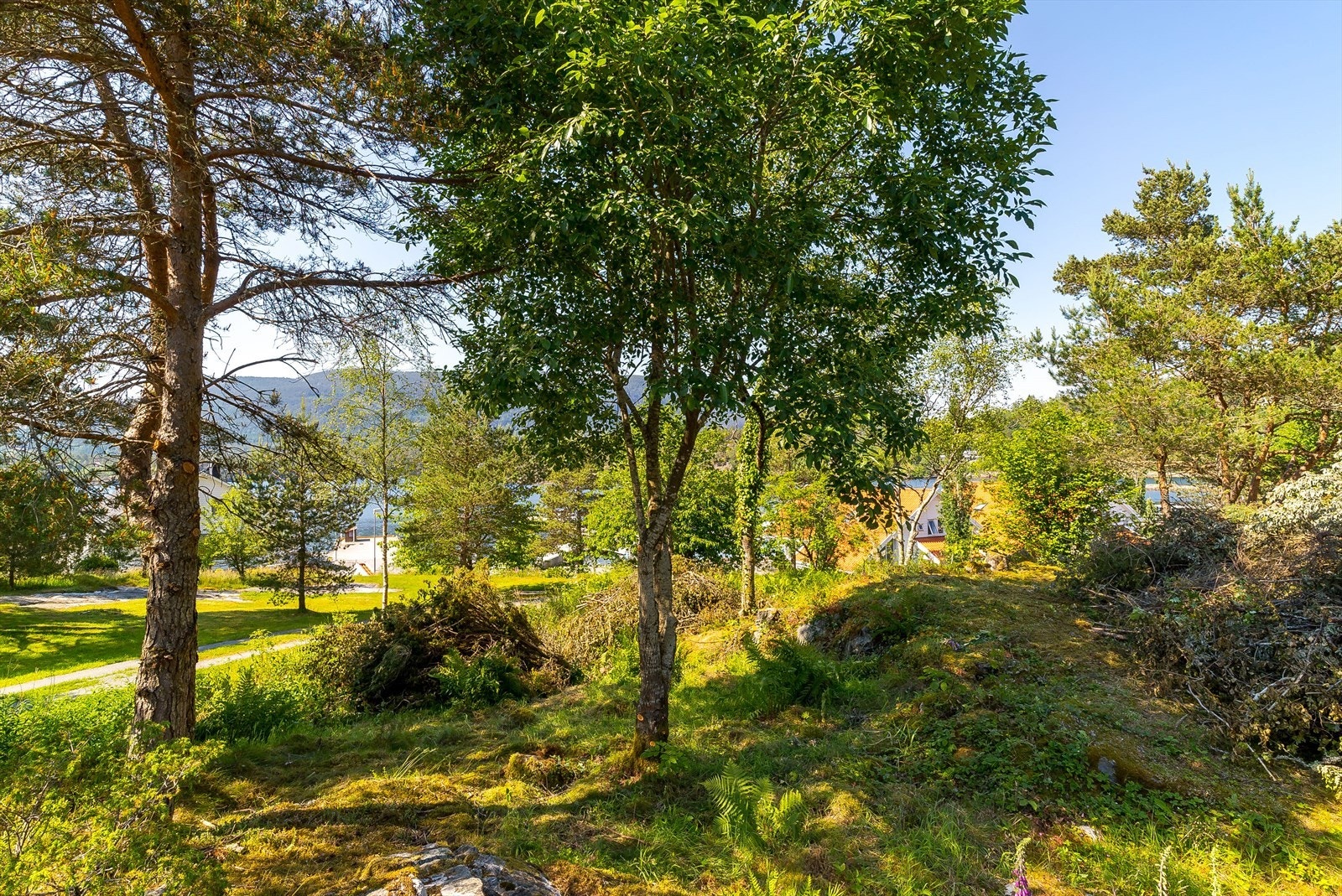 Tomten er meget romslig og her er en sjelden mulighet for å få realisert hyttedrømmen! Galleribilde