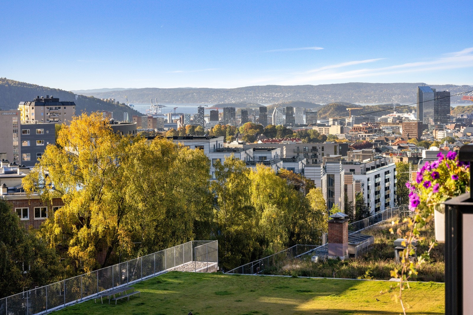 - Utsikt - Galleribilde