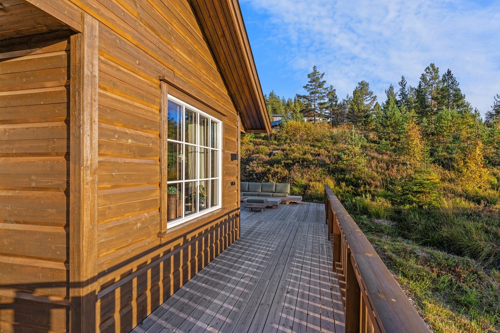 Uteområde rundt hytta Galleribilde