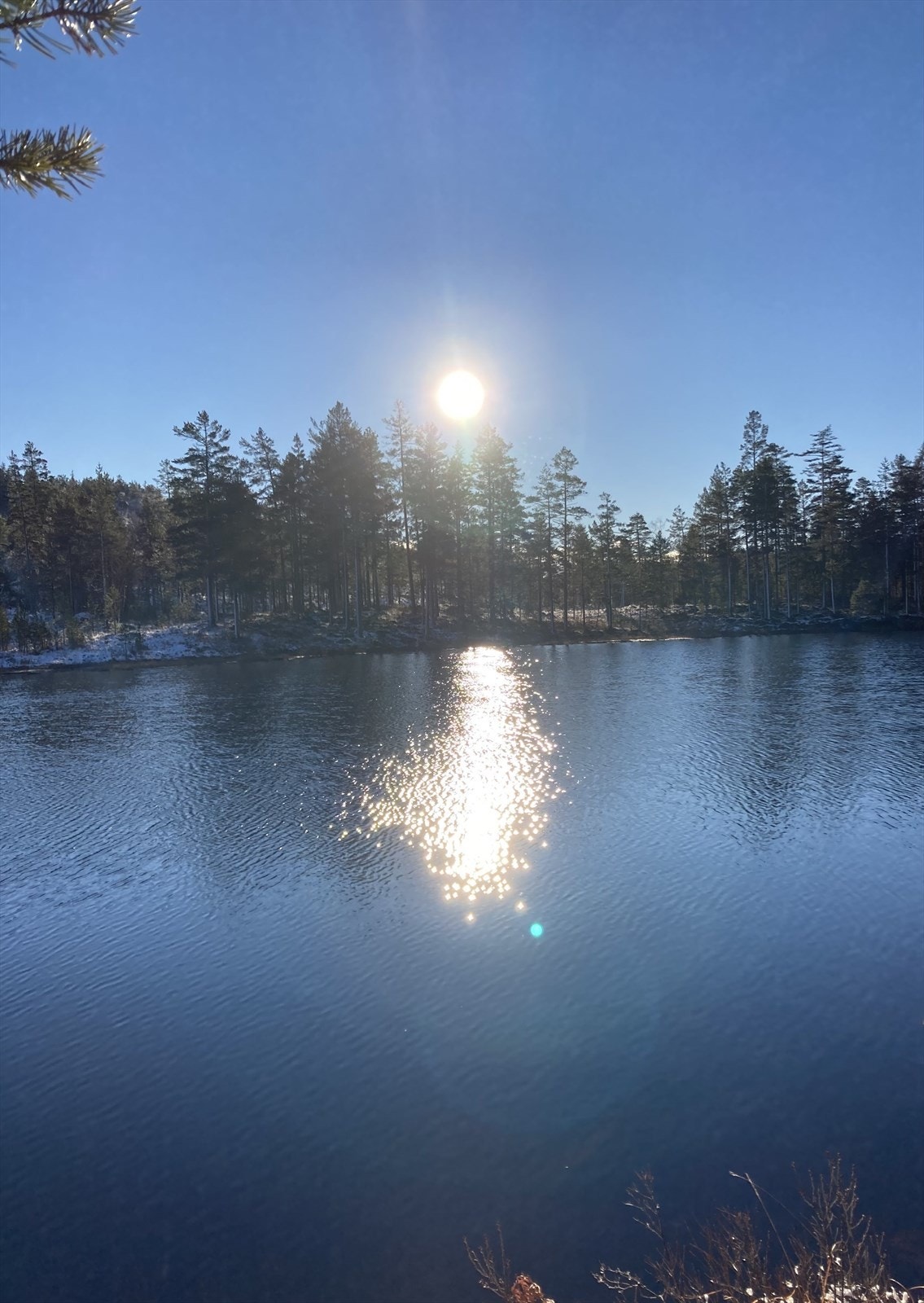 Bilde tatt av selger Galleribilde