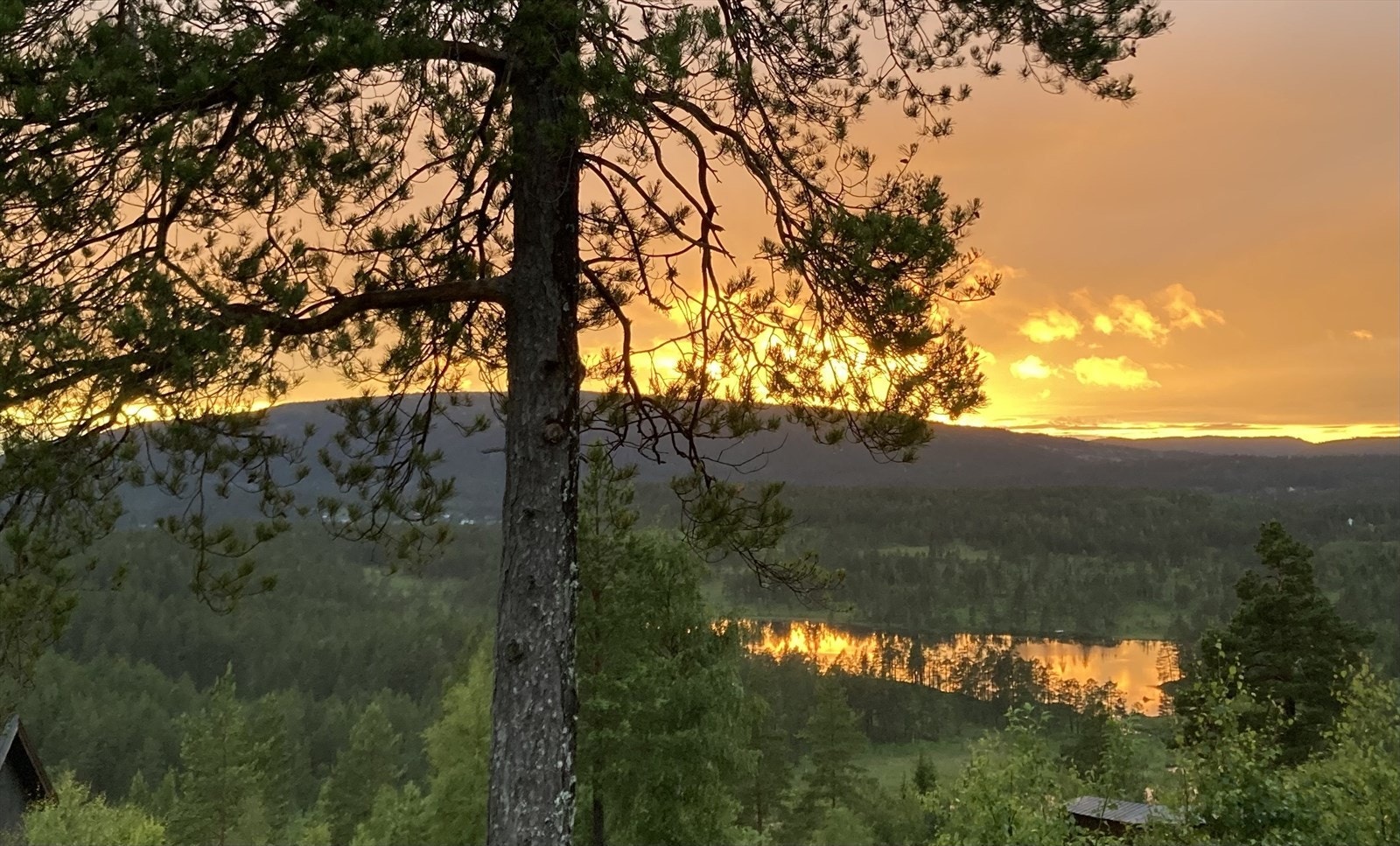 Bilde tatt av selger Galleribilde