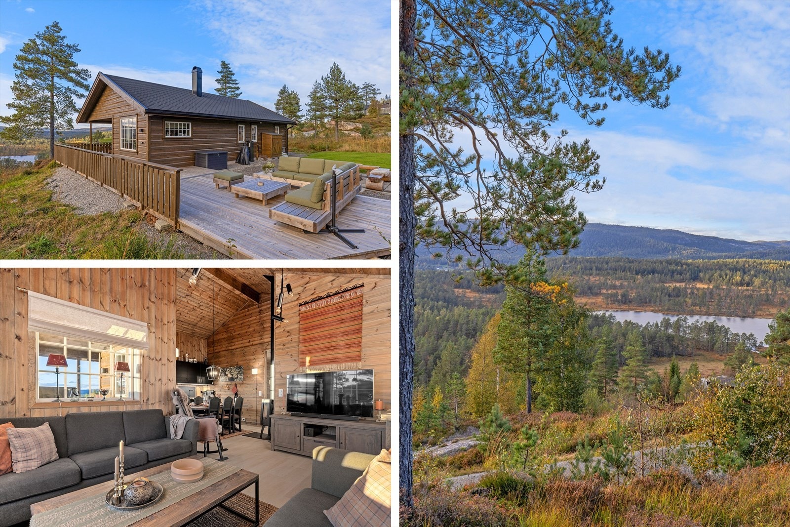 Velkommen til Vedlausfjell! Galleribilde