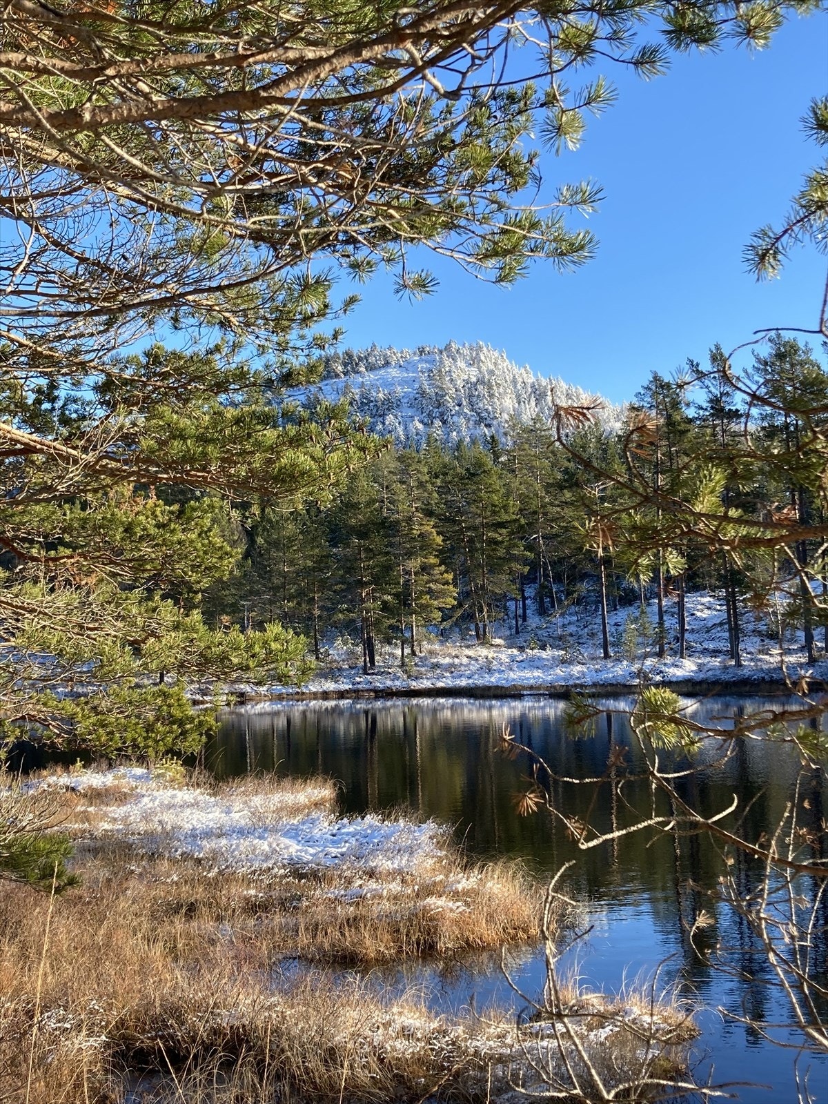 Bilde tatt av selger Galleribilde