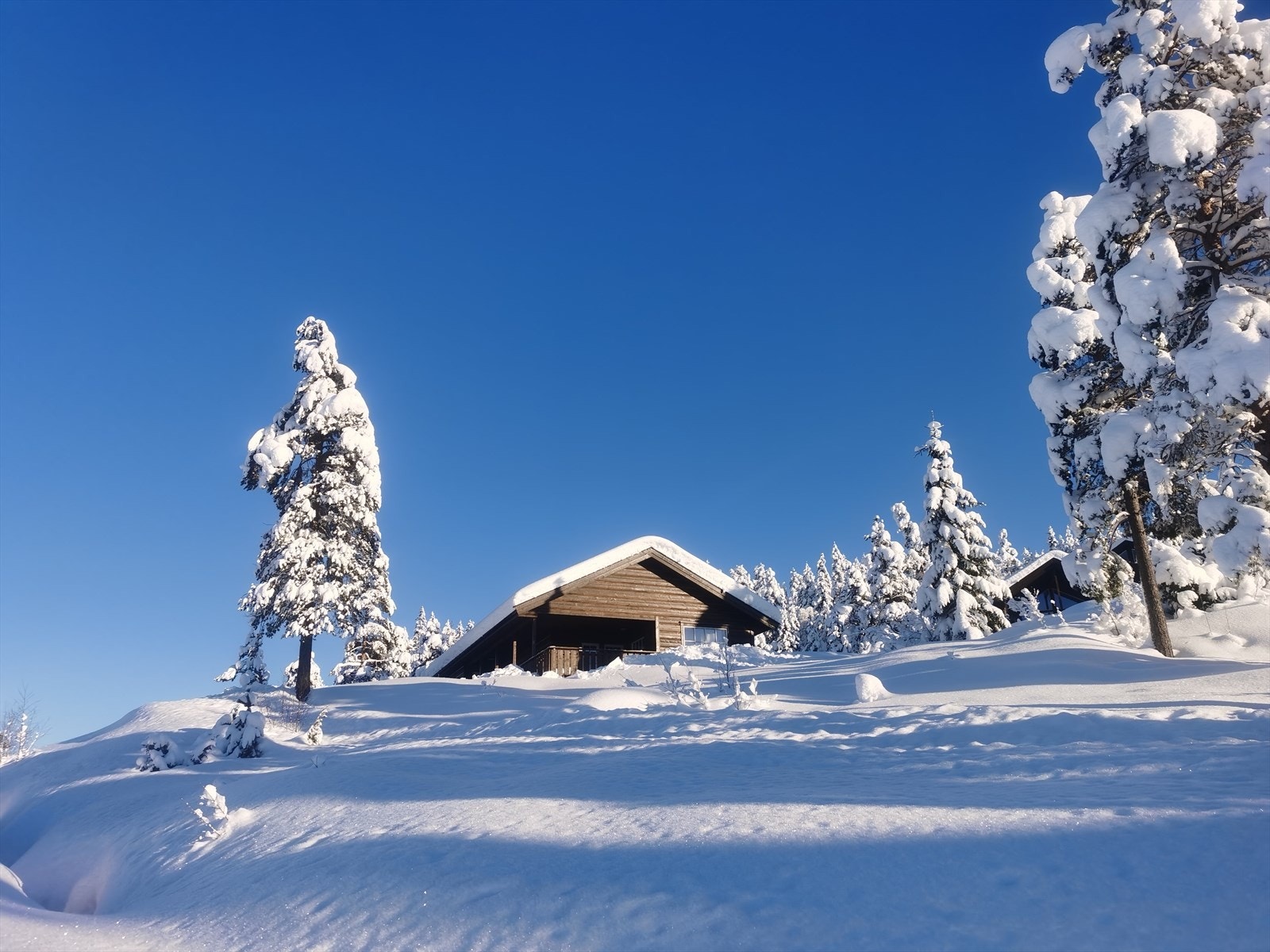 Bilde tatt av selger Galleribilde