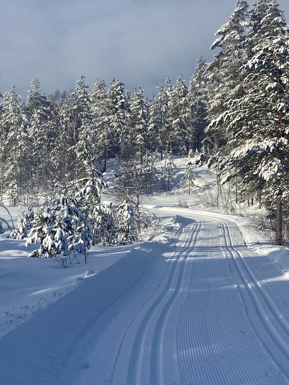 Bilde tatt av selger Galleribilde