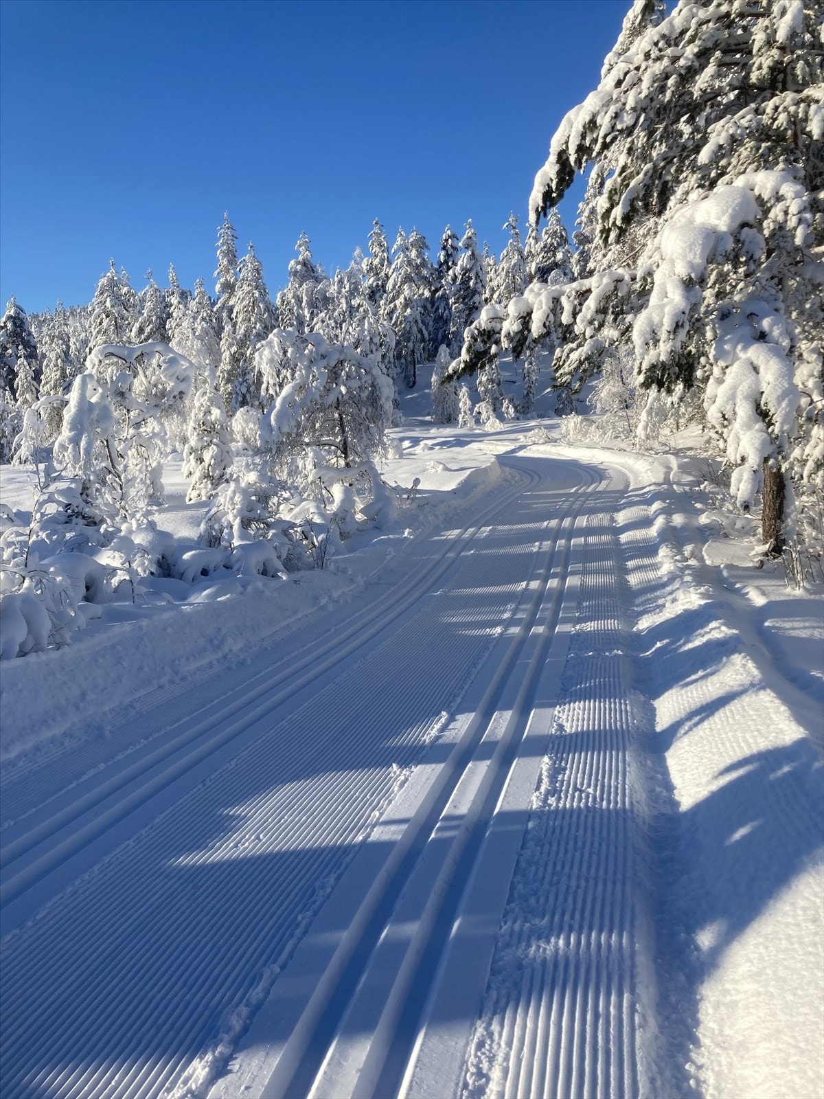 Bilde tatt av selger Galleribilde