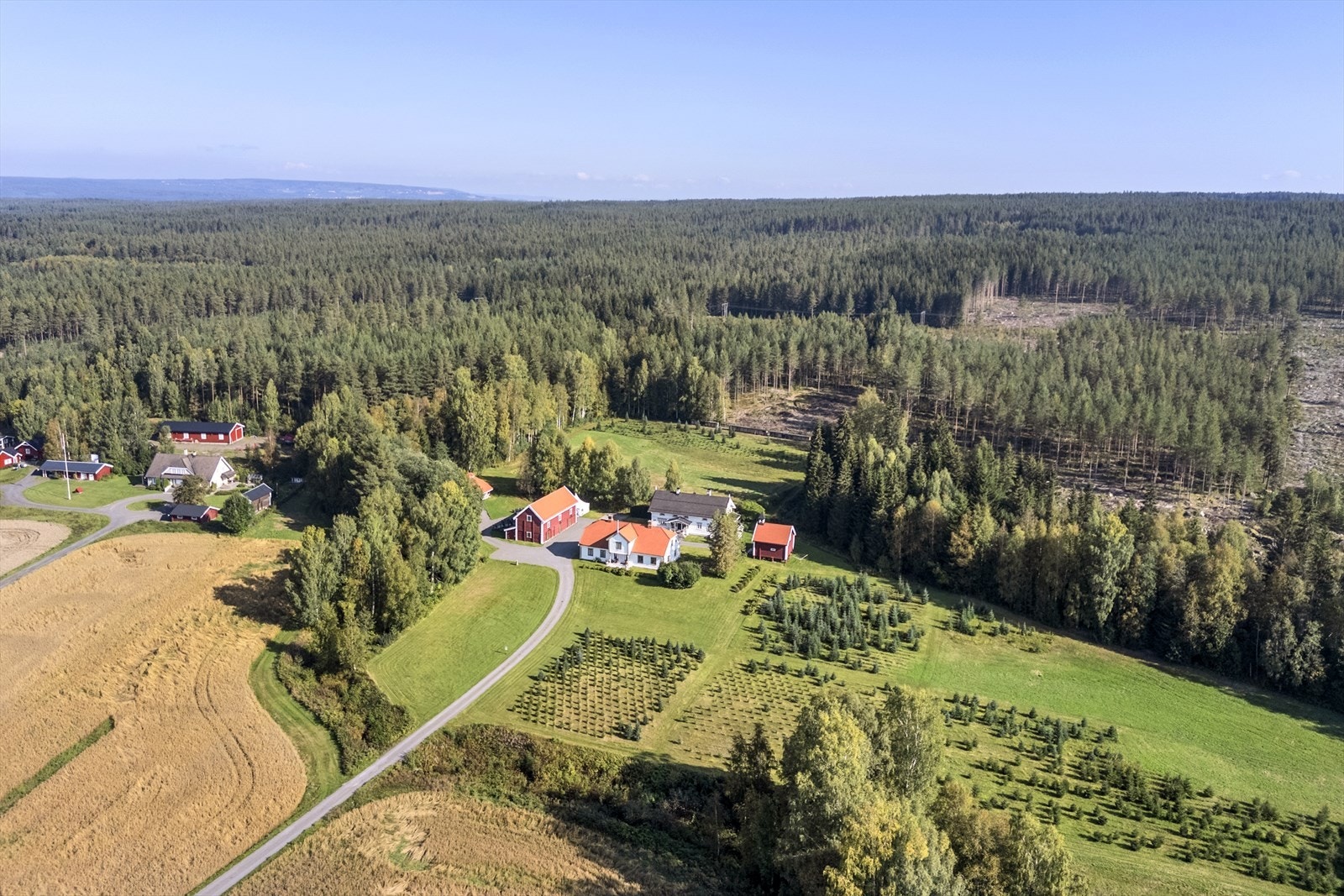 Gården består av 681,5 dekar skog fordelt på 6 teiger. Den største teigen er på 483,5 dekar Galleribilde