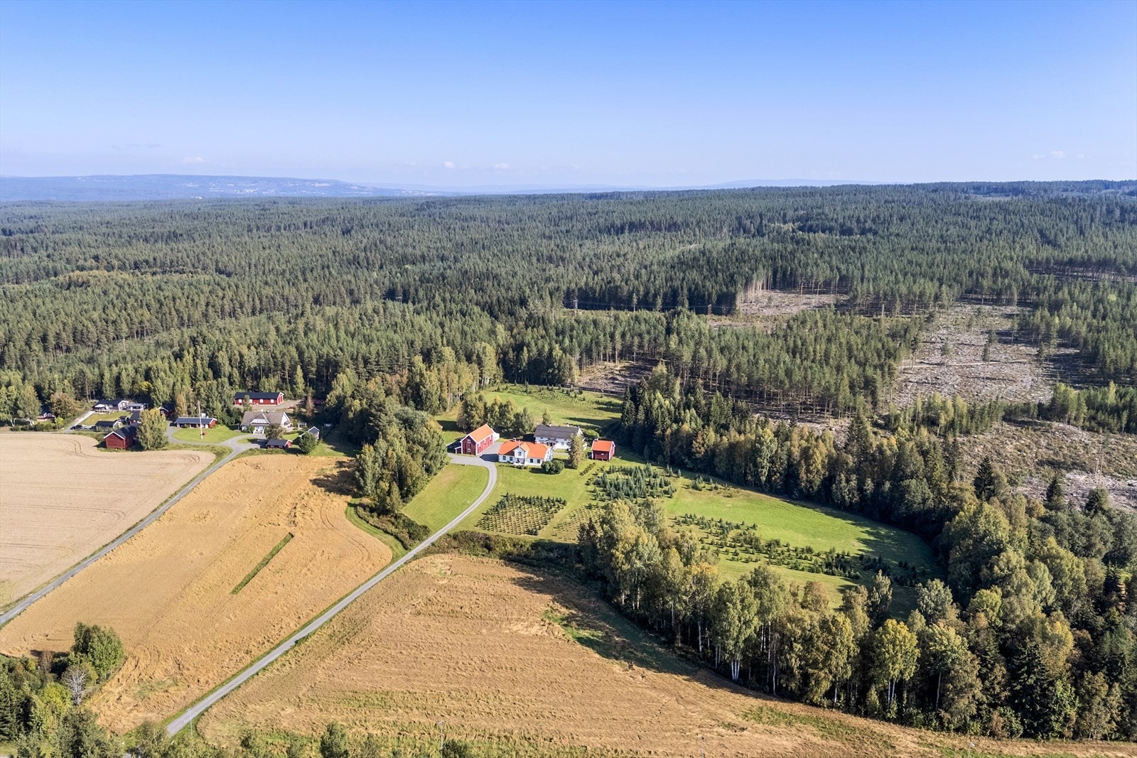 Det følger jaktrettigheter med eiendommen Galleribilde