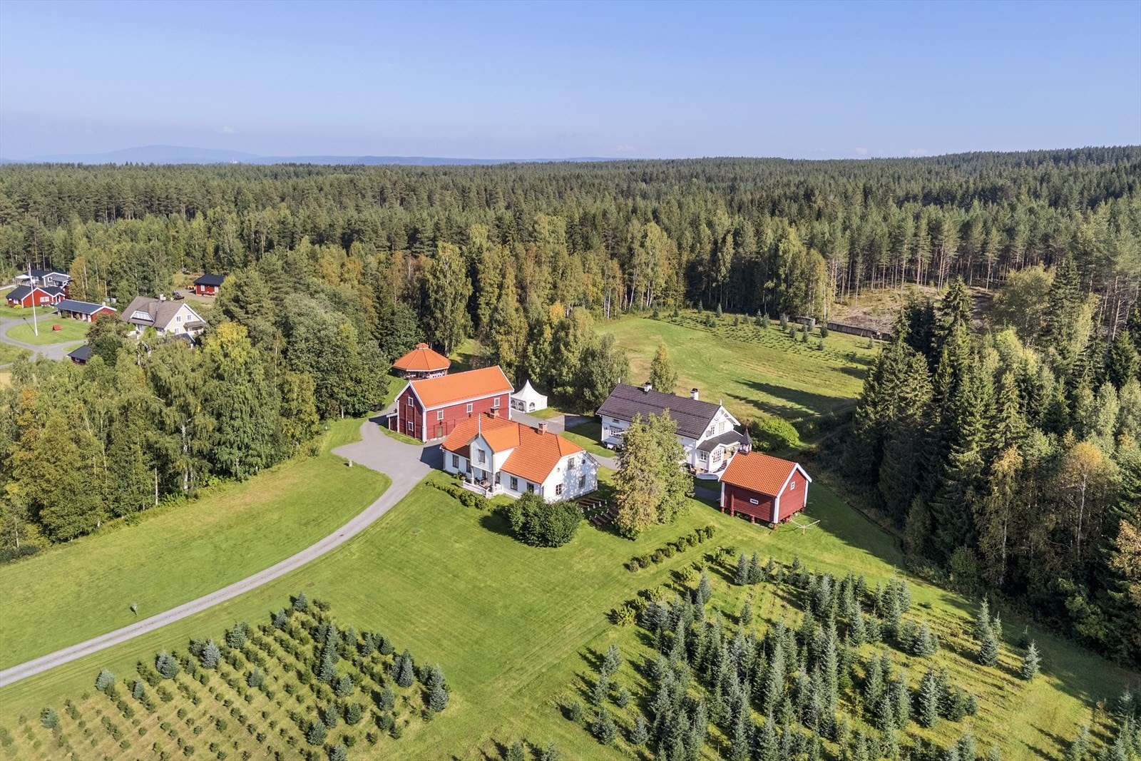 Deler av arealet er omdisponert til produksjon av juletrær. Før omdisponeringen var det dyrkede arealet på 42 daa. Galleribilde