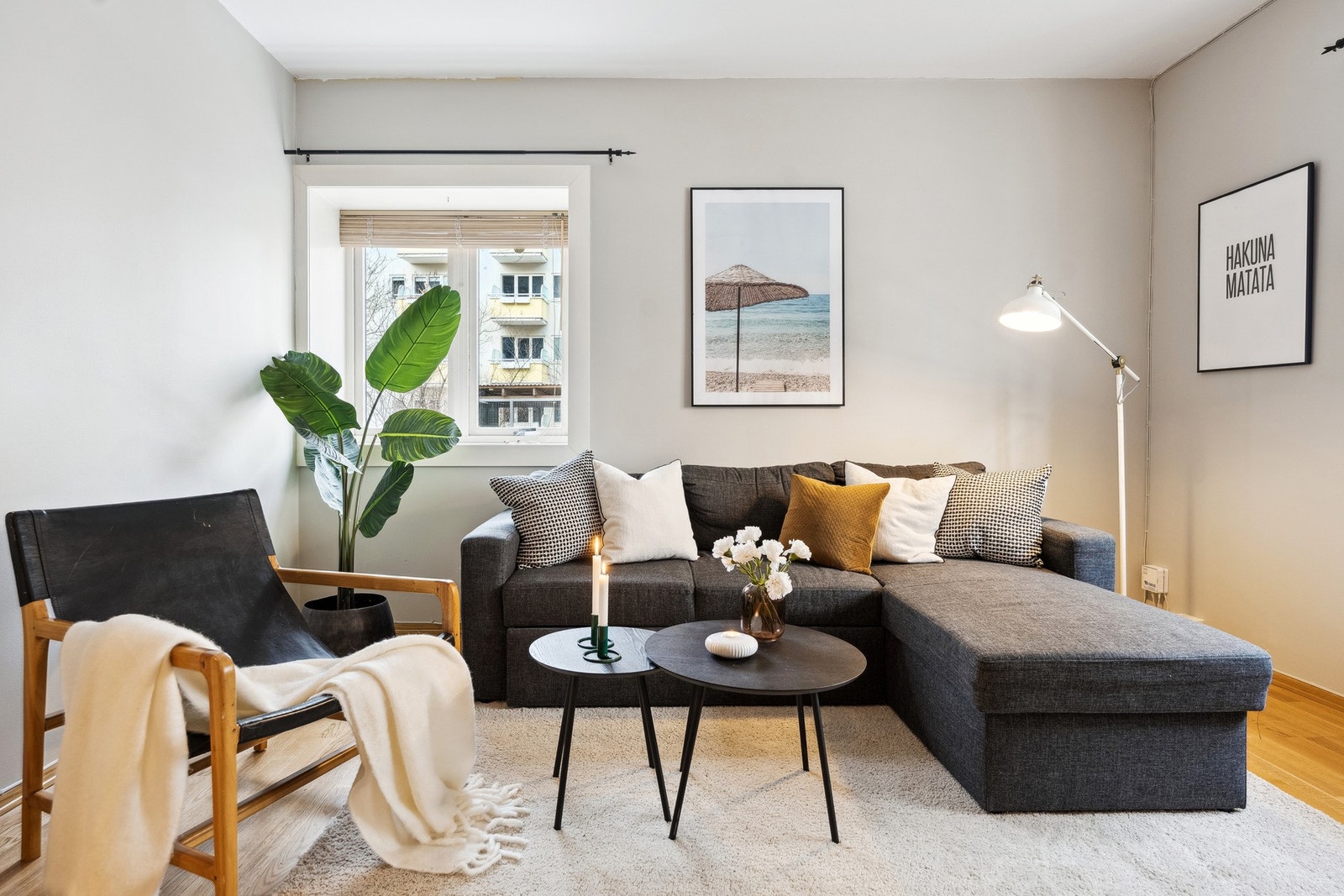 En praktisk og hyggelig 2-roms leilighet med sentral beliggenhet Galleribilde