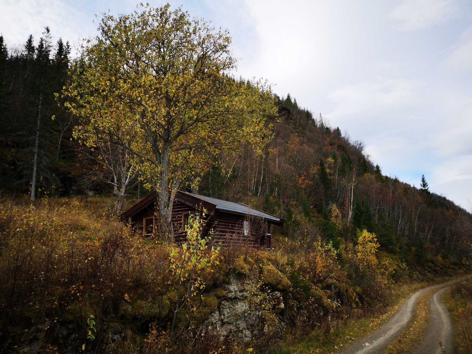 Tømmerhytte fra veien. Galleribilde