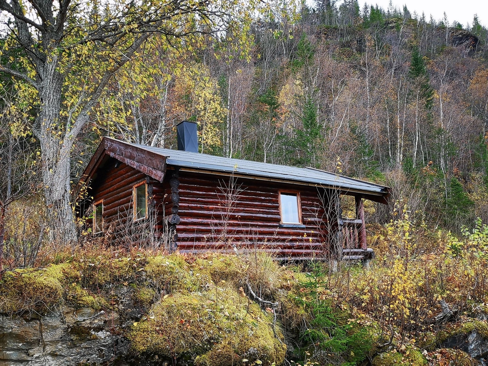 Tømmerhytte fra veien. Galleribilde