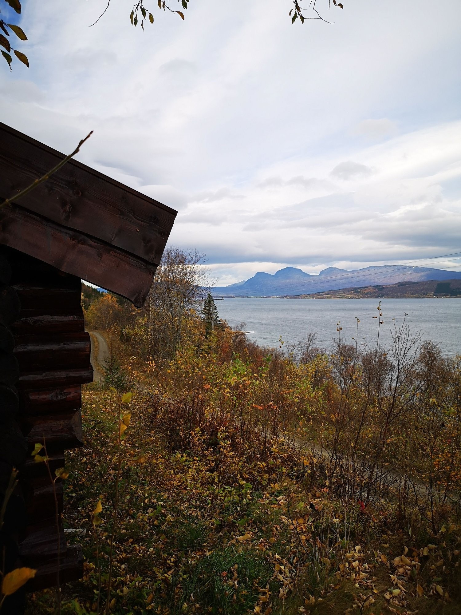 Utsikt over fjorden. Galleribilde