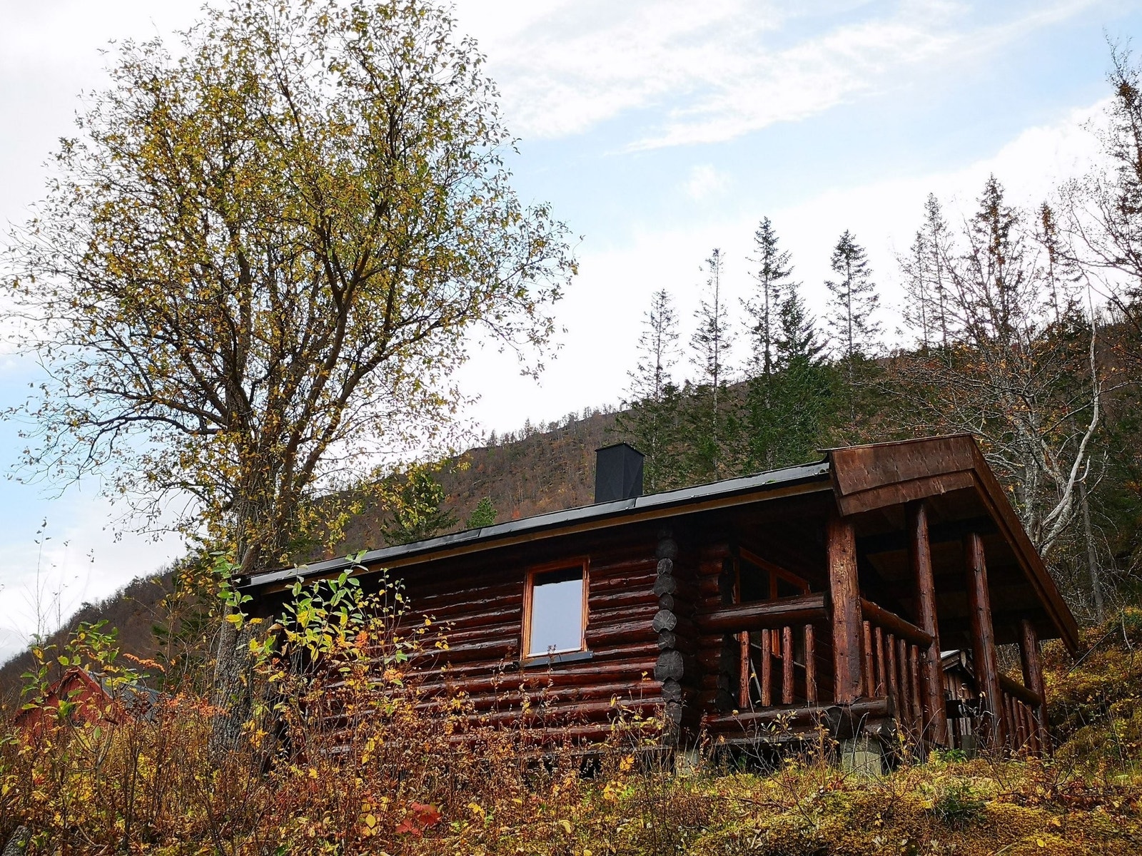 Tømmerhytte fra veien. Galleribilde