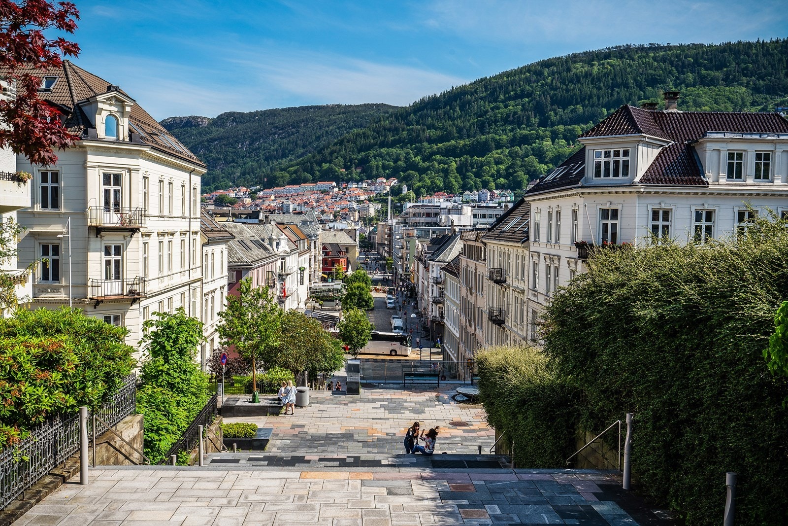 - Spaser til sentrum over Høyden i nydelige omgivelser - Galleribilde