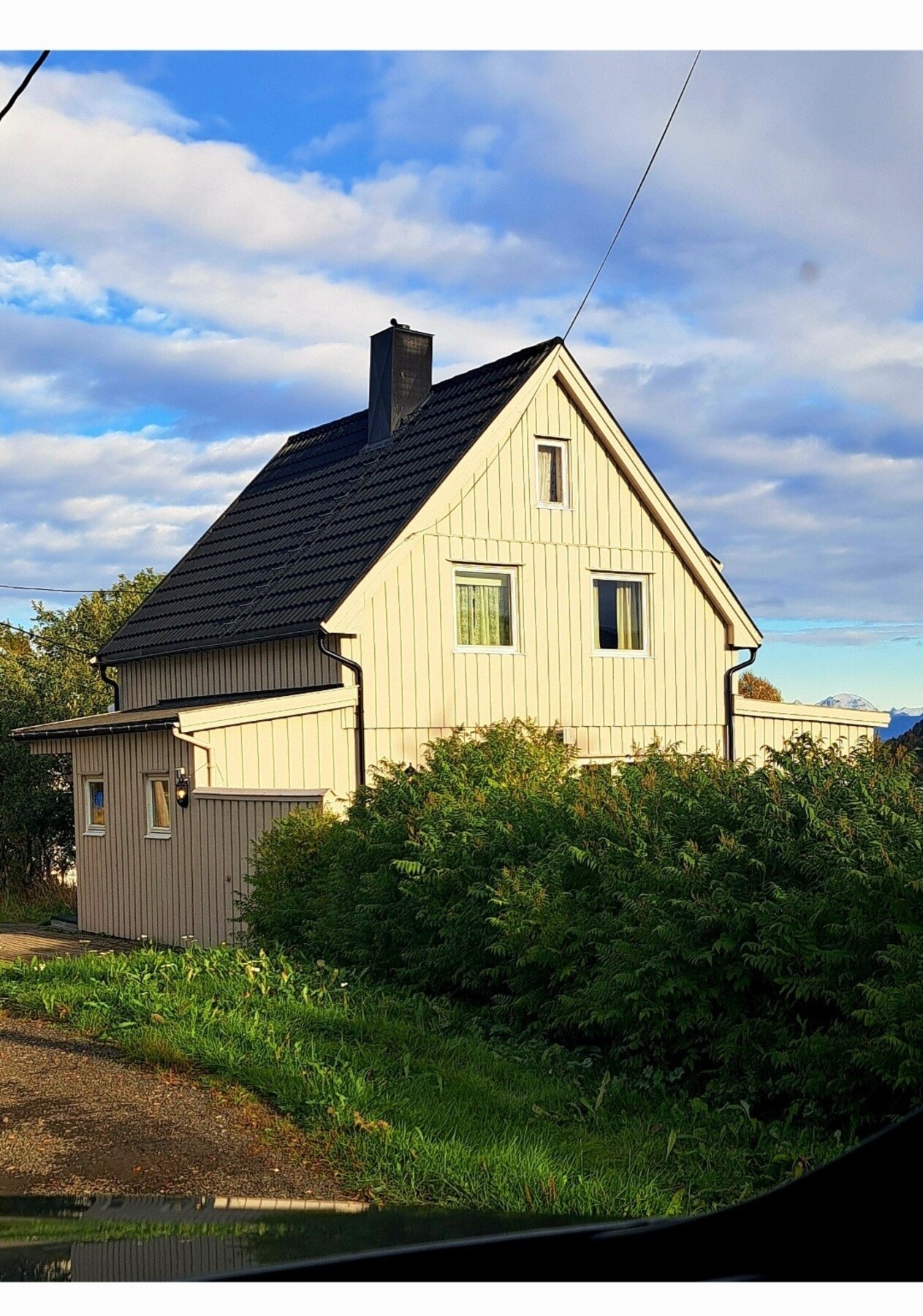 Selgers eget bilde Galleribilde