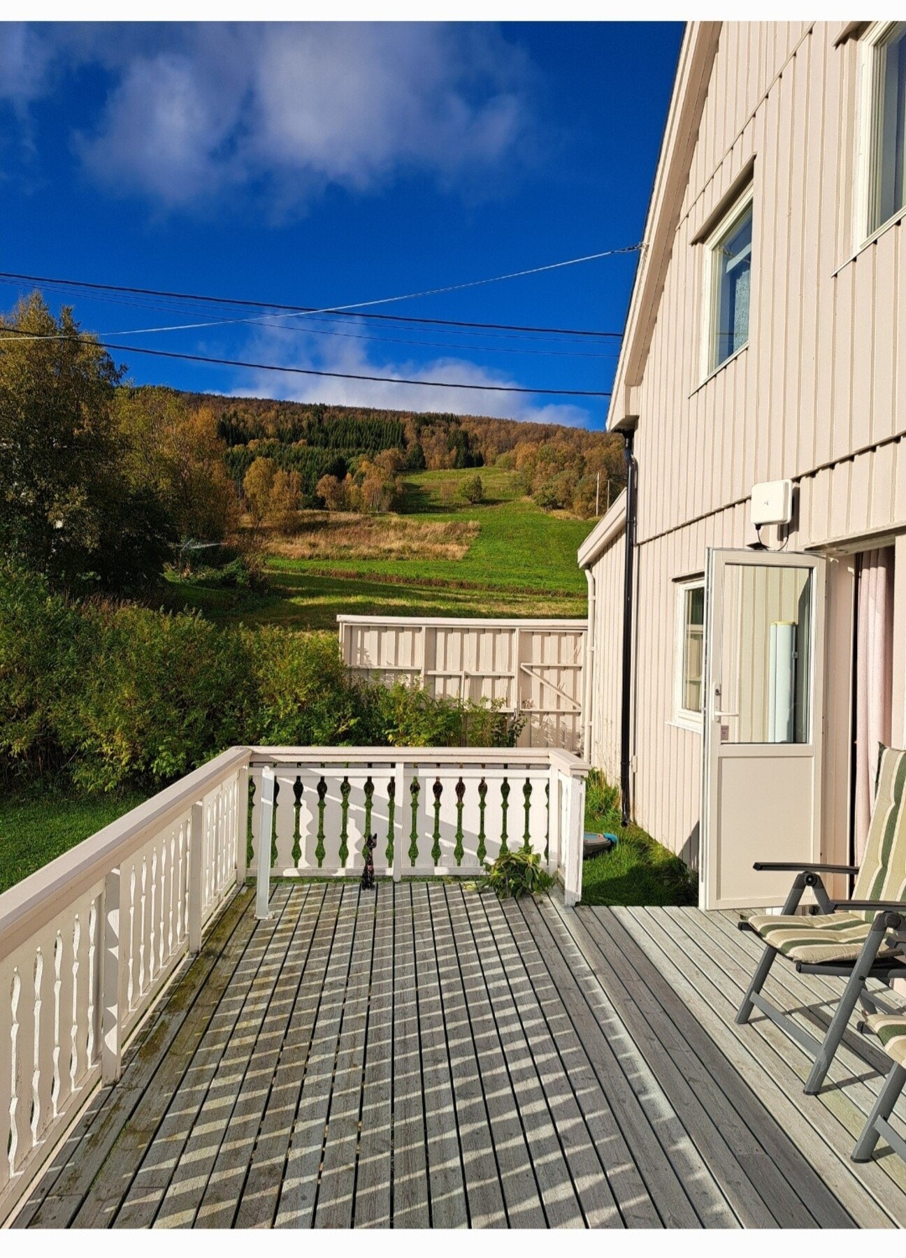 Selgers eget bilde Galleribilde