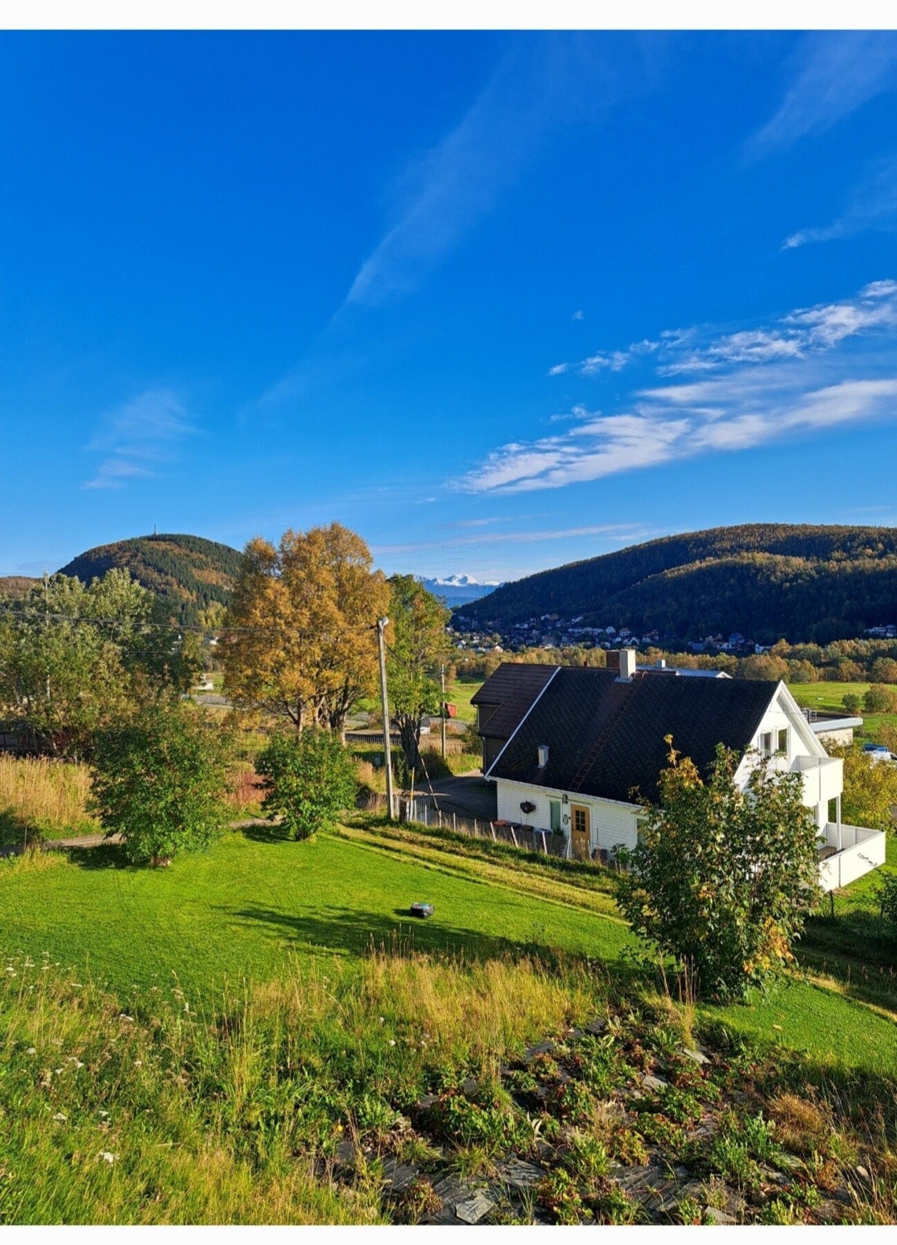 Selgers eget bilde Galleribilde