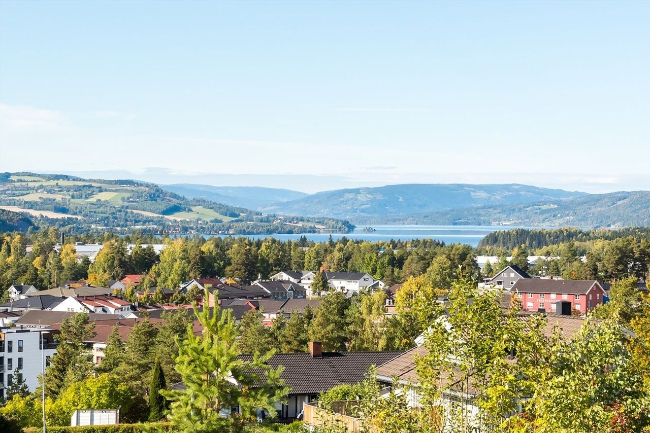 Sommerbilde Galleribilde