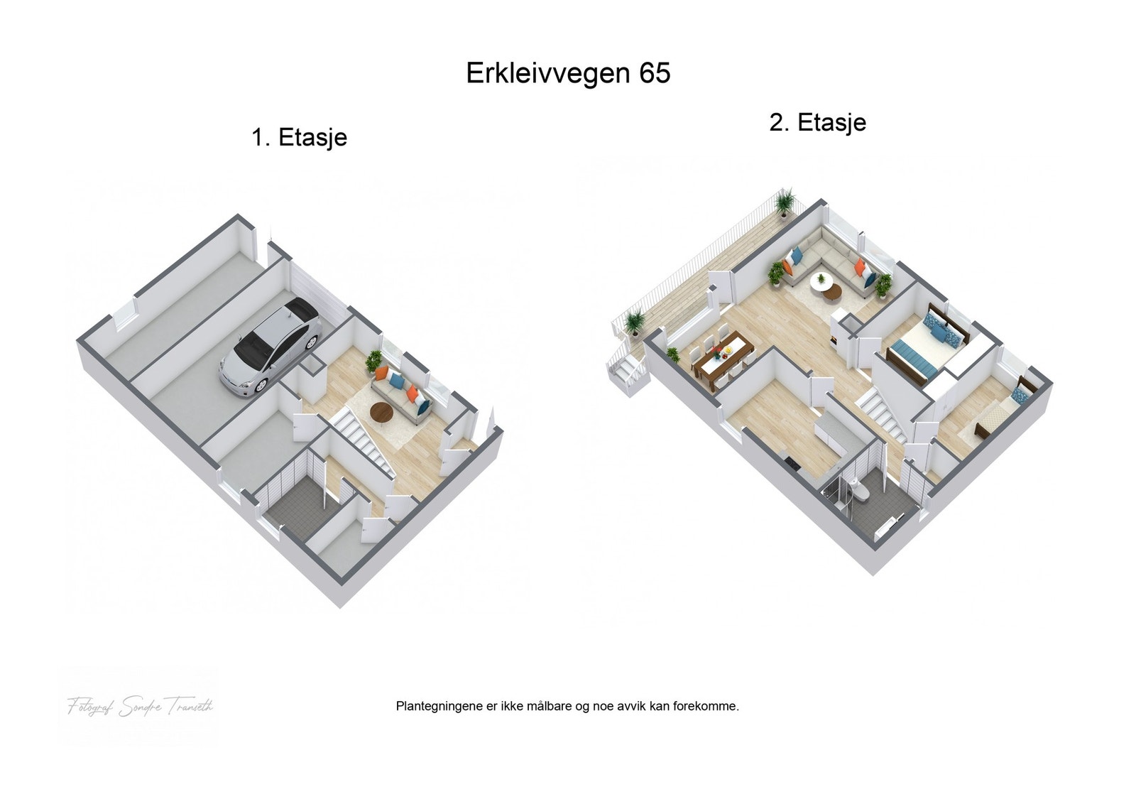 3D Plantegning Galleribilde